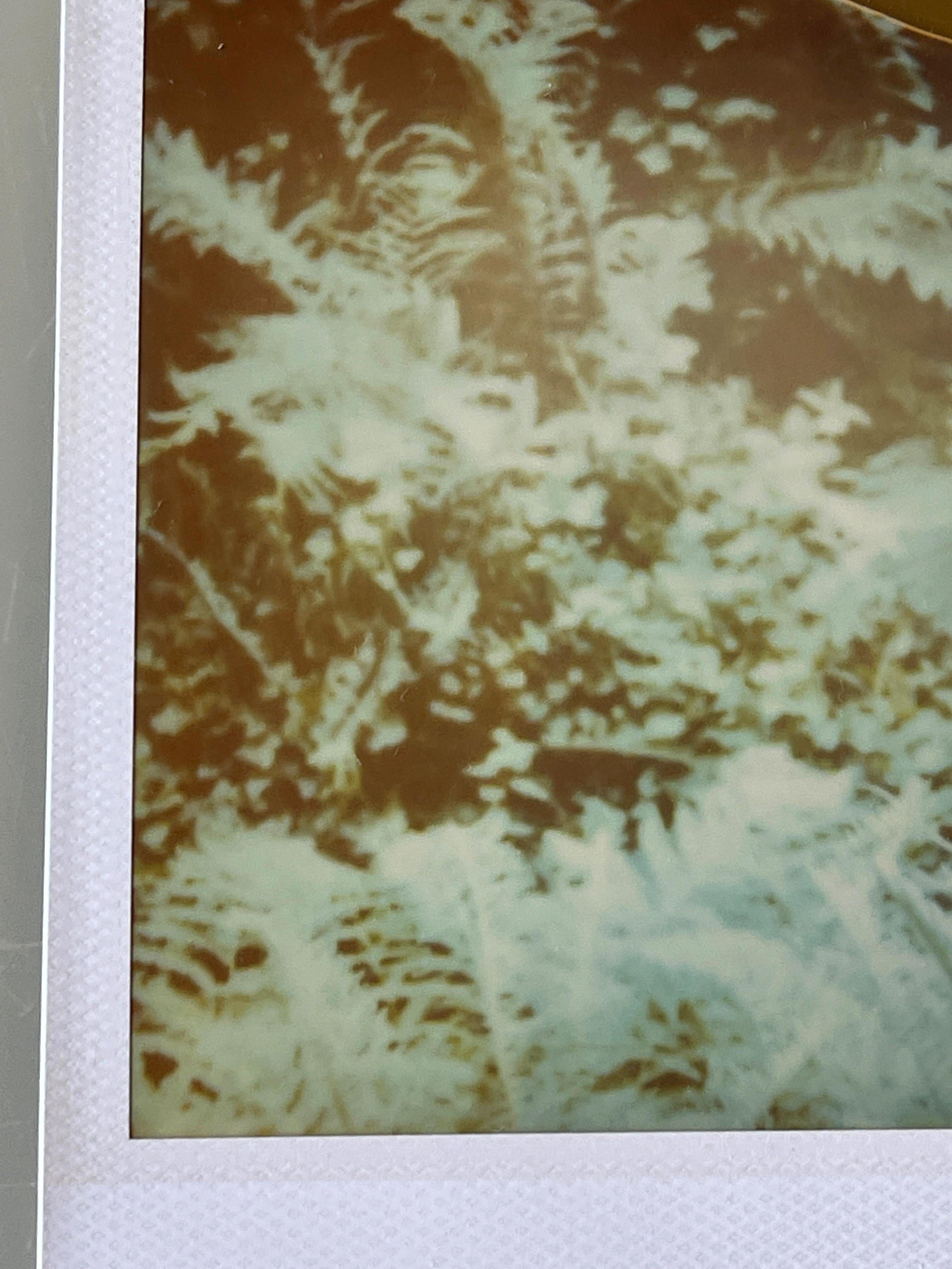 Fern (Fairytales) - Pièce unique d'origine Polaroid - Photograph de Stefanie Schneider