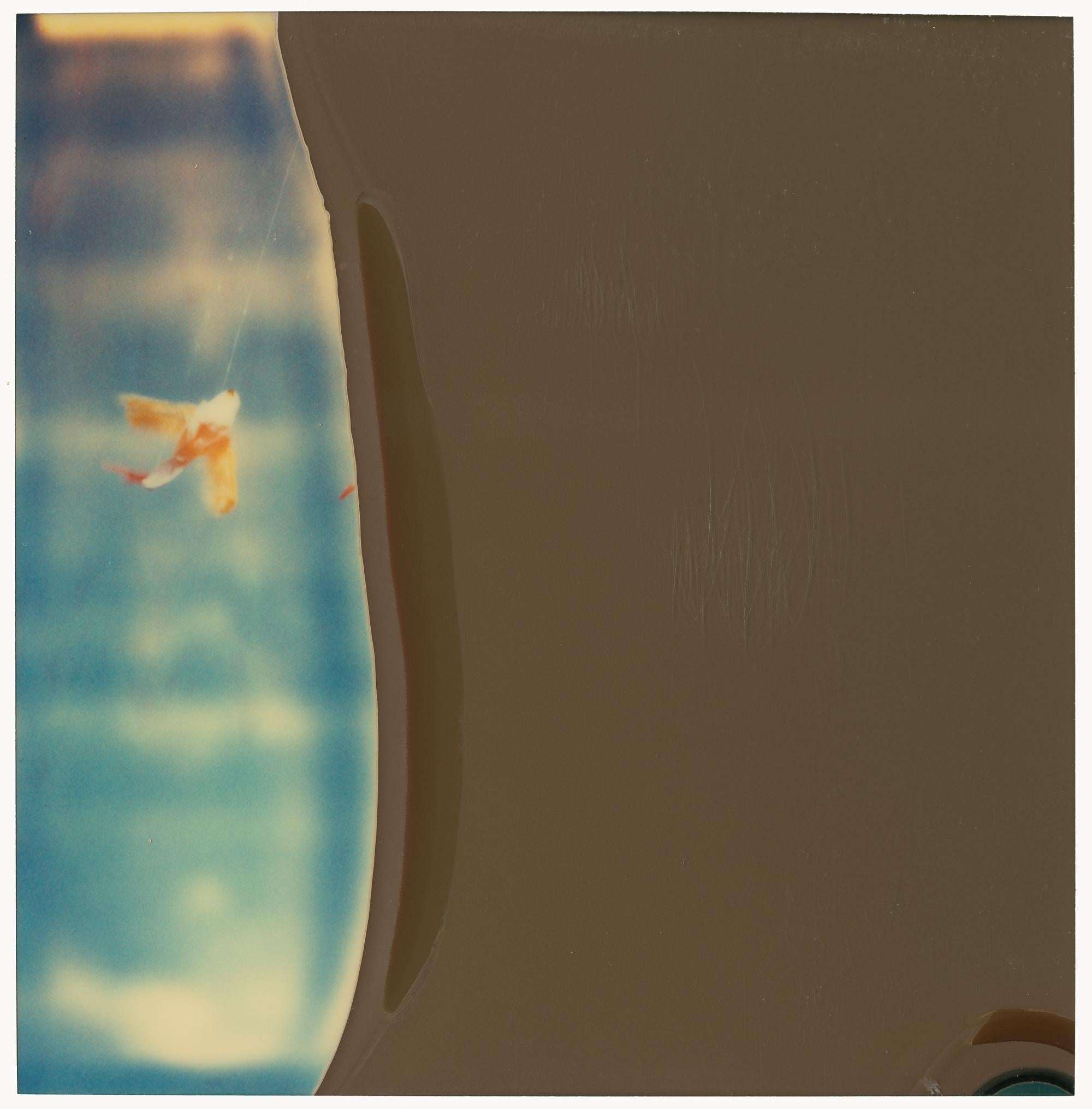 Stefanie Schneider Abstract Photograph - Fleeting (Haley and the Birds)