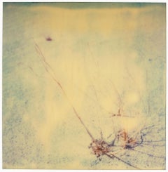 Vintage Flora - Planet of the Apes 08 - 21st Century, Polaroid, Abstract