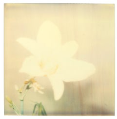 Retro Flower (29 Palms, CA) - Polaroid, 21st Century, Contemporary, Color