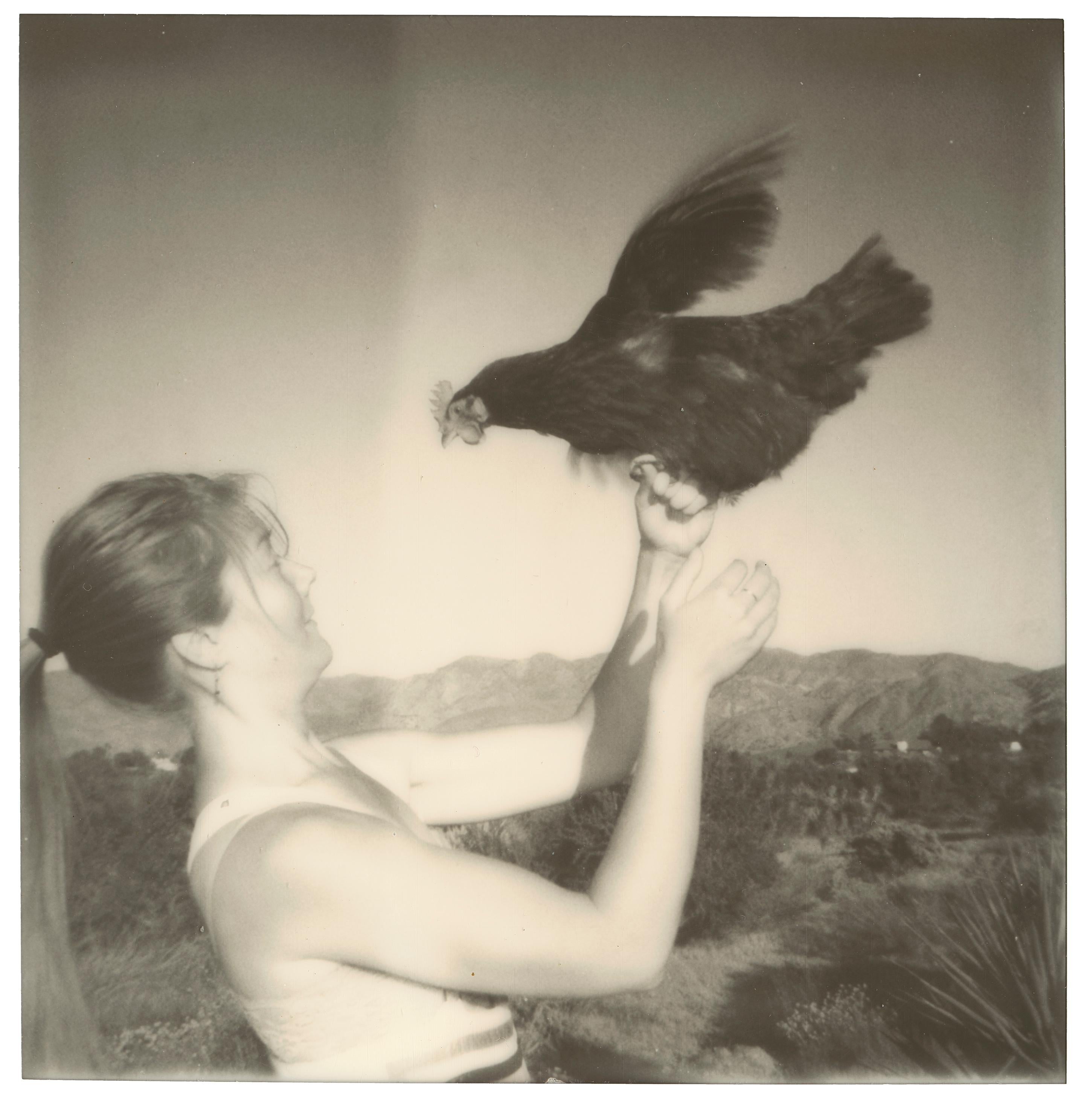 Stefanie Schneider Figurative Photograph - Fly! (Chicks and Chicks and sometimes Cocks) - Polaroid