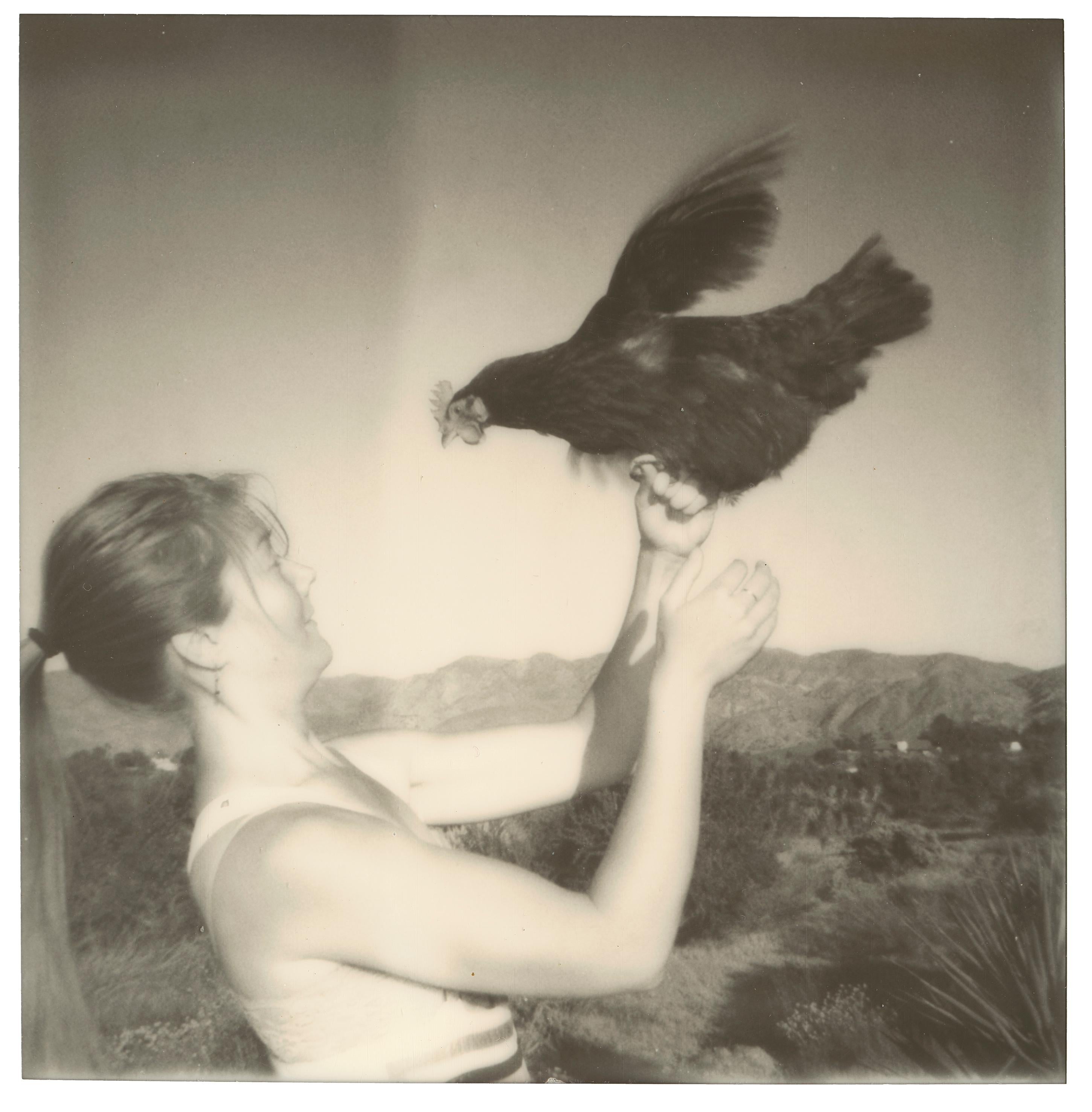 Stefanie Schneider Black and White Photograph - Fly! (Chicks and Chicks and sometimes Cocks) - Polaroid