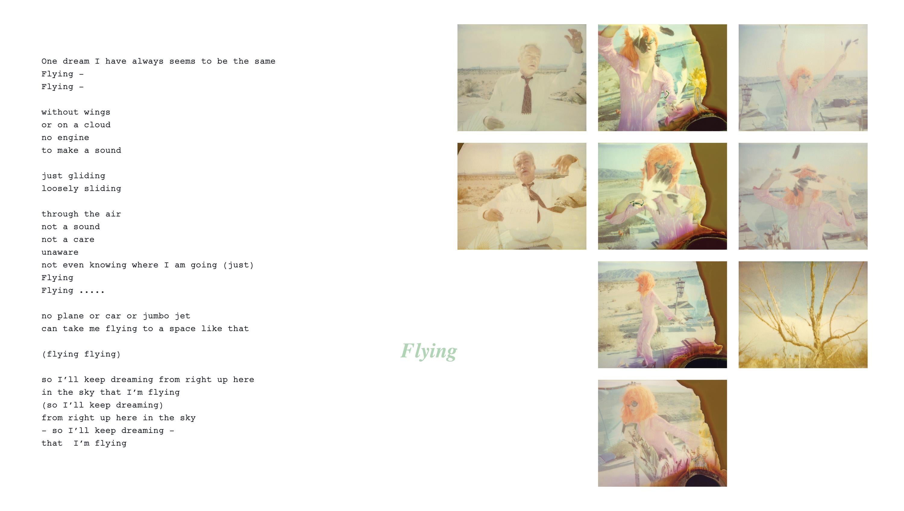 Flying (29 Palms) - including the book 'A Half Forgotten Dream' For Sale 6