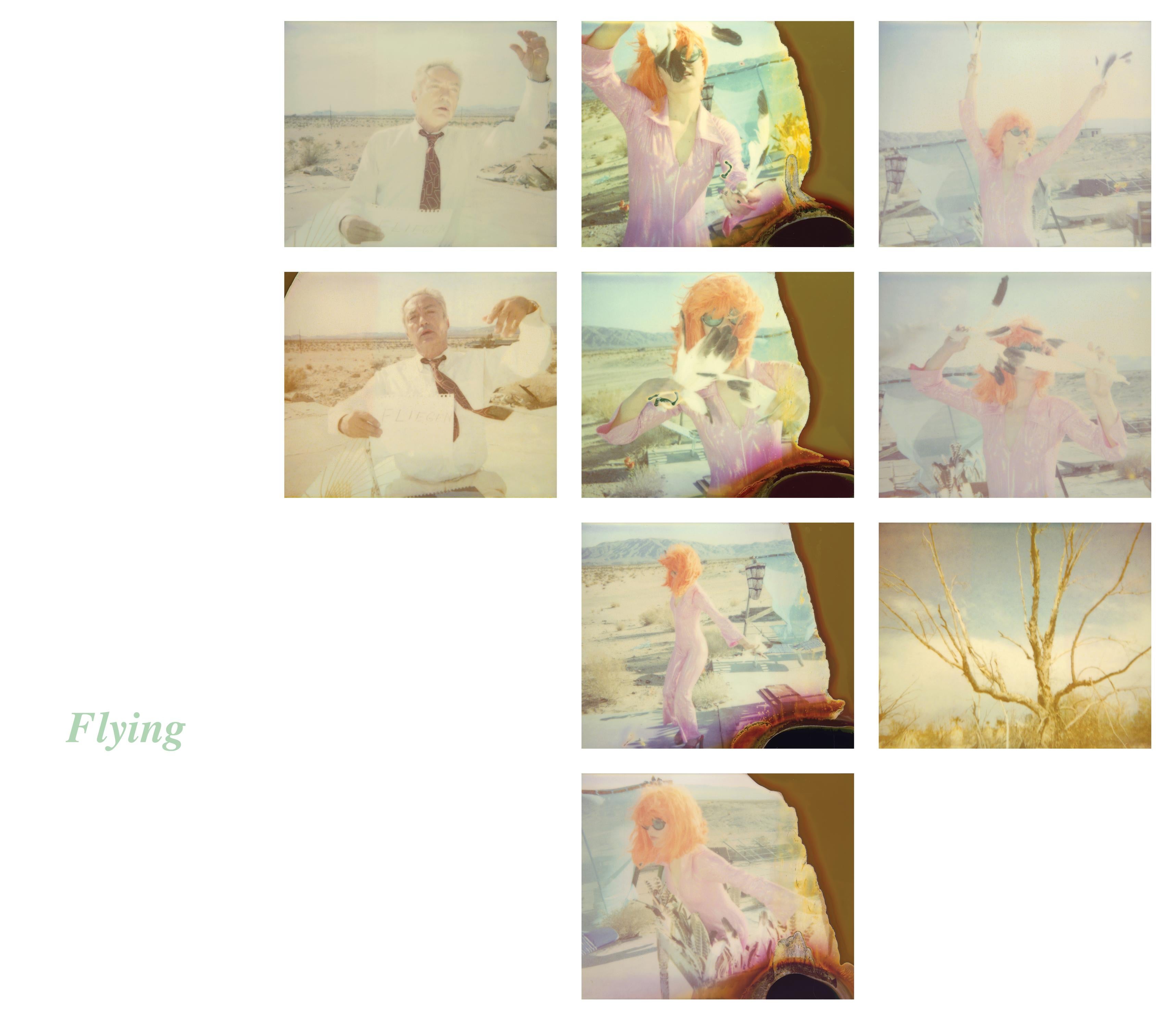 Flying (29 Palms) - including the book 'A Half Forgotten Dream'