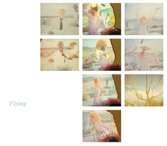 Flying (29 Palms) - including the book 'A Half Forgotten Dream'