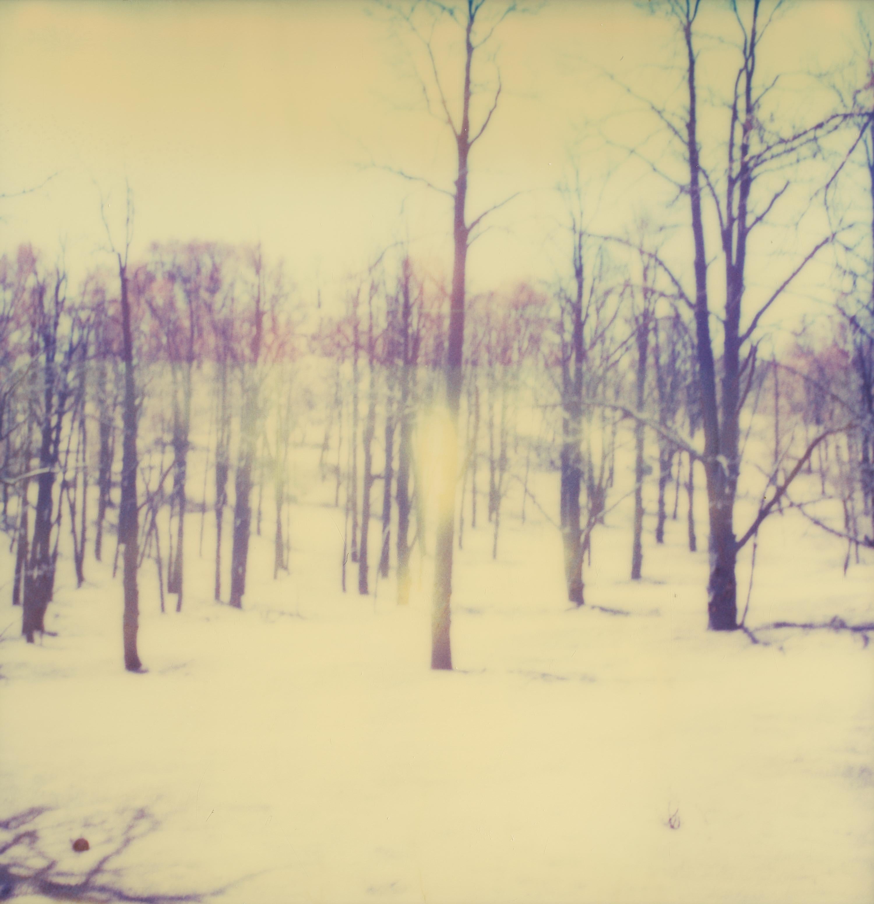 Stefanie Schneider Landscape Photograph - Forest Haze (The Last Picture Show)