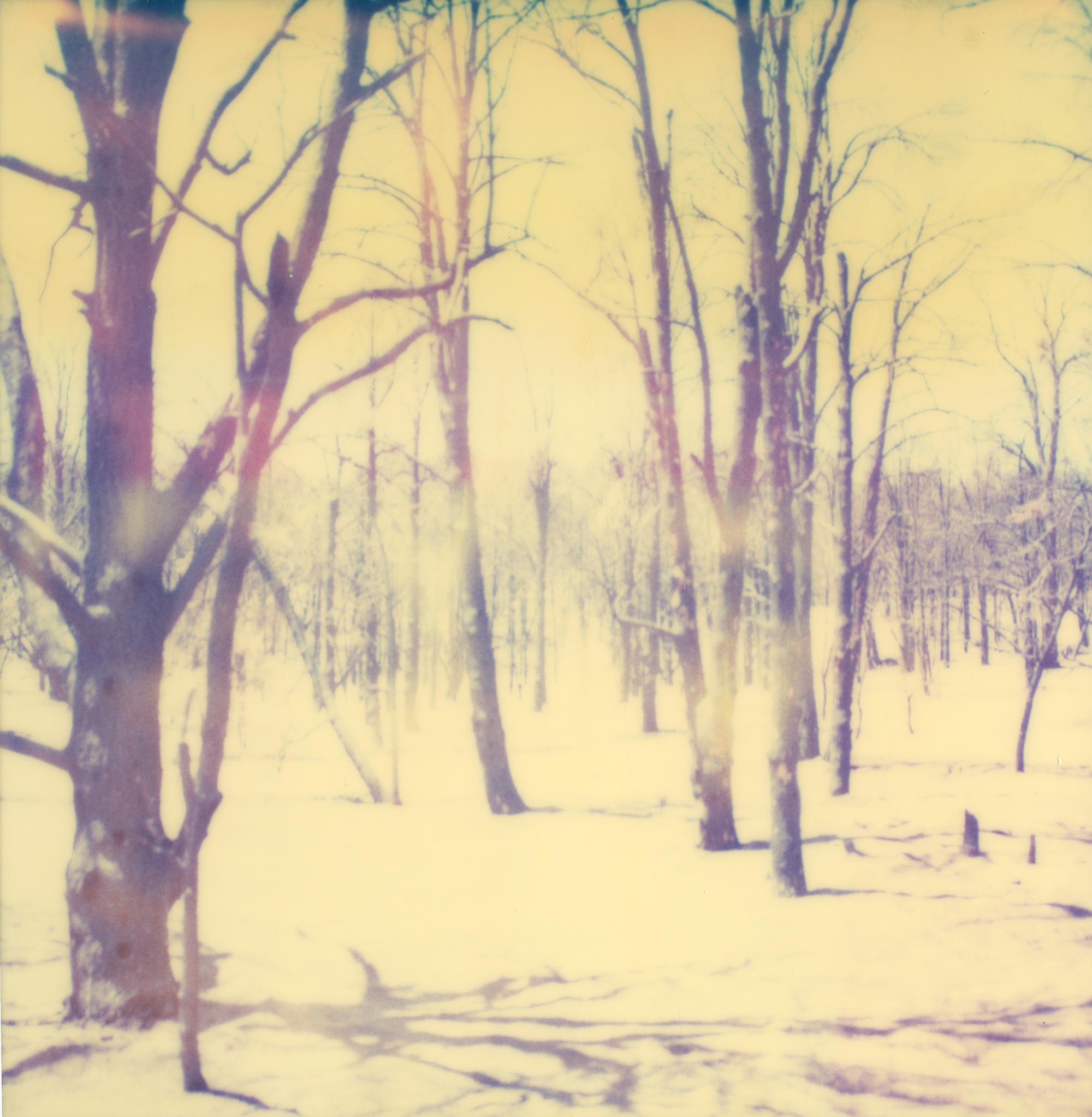 Stefanie Schneider Landscape Photograph - Forest White (The Last Picture Show) - analog, Polaroid