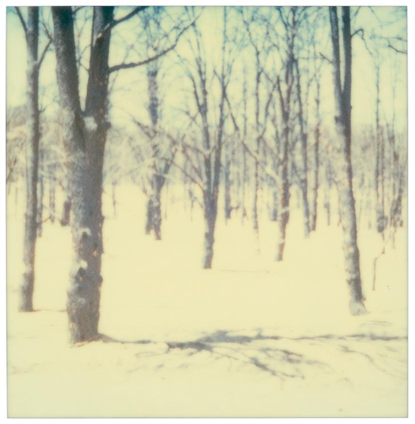 Frozen (16 pieces) Contemporary, Landscape, USA, Polaroid, Figurative, Ice, Snow For Sale 10