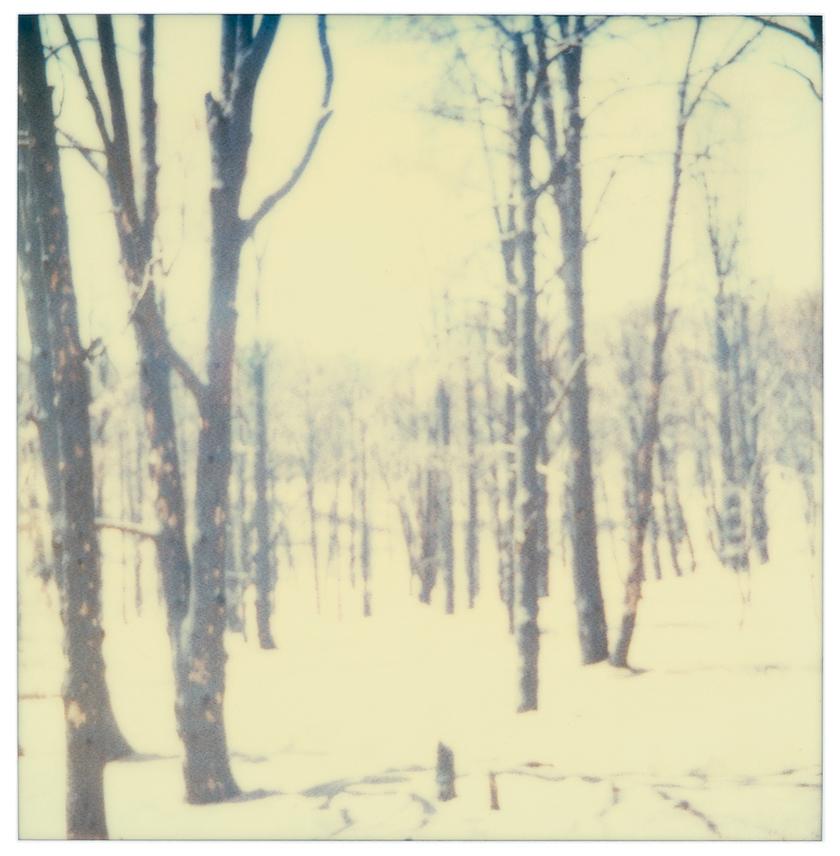 Frozen (16 pieces) Contemporary, Landscape, USA, Polaroid, Figurative, Ice, Snow For Sale 4