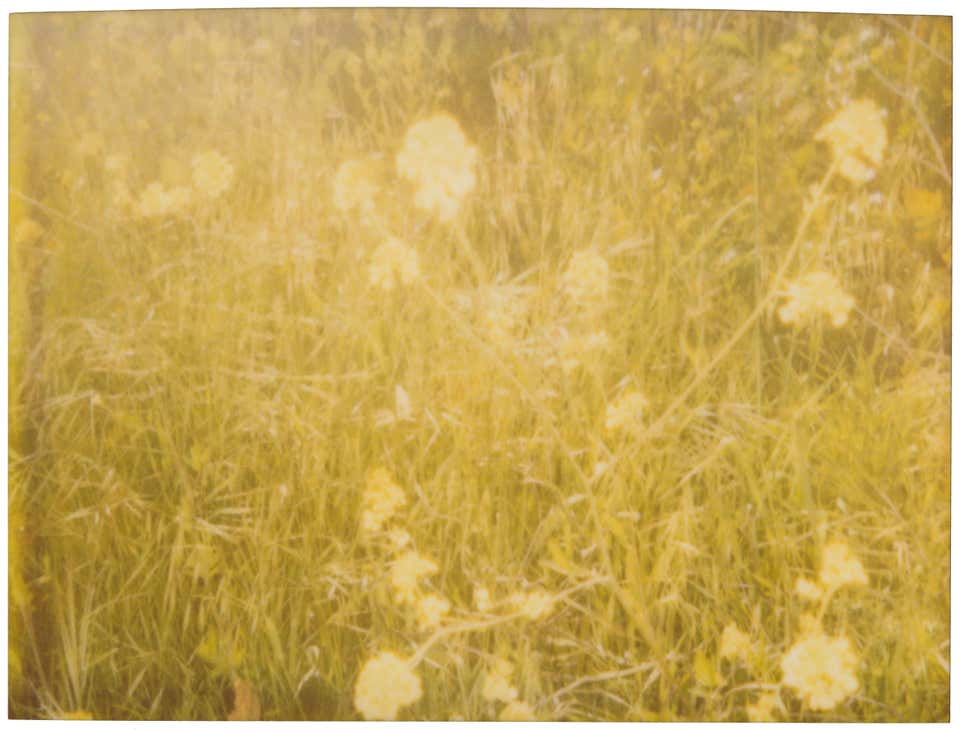 Christian Rothmann Portrait Photography - 10 For Sale at 1stDibs