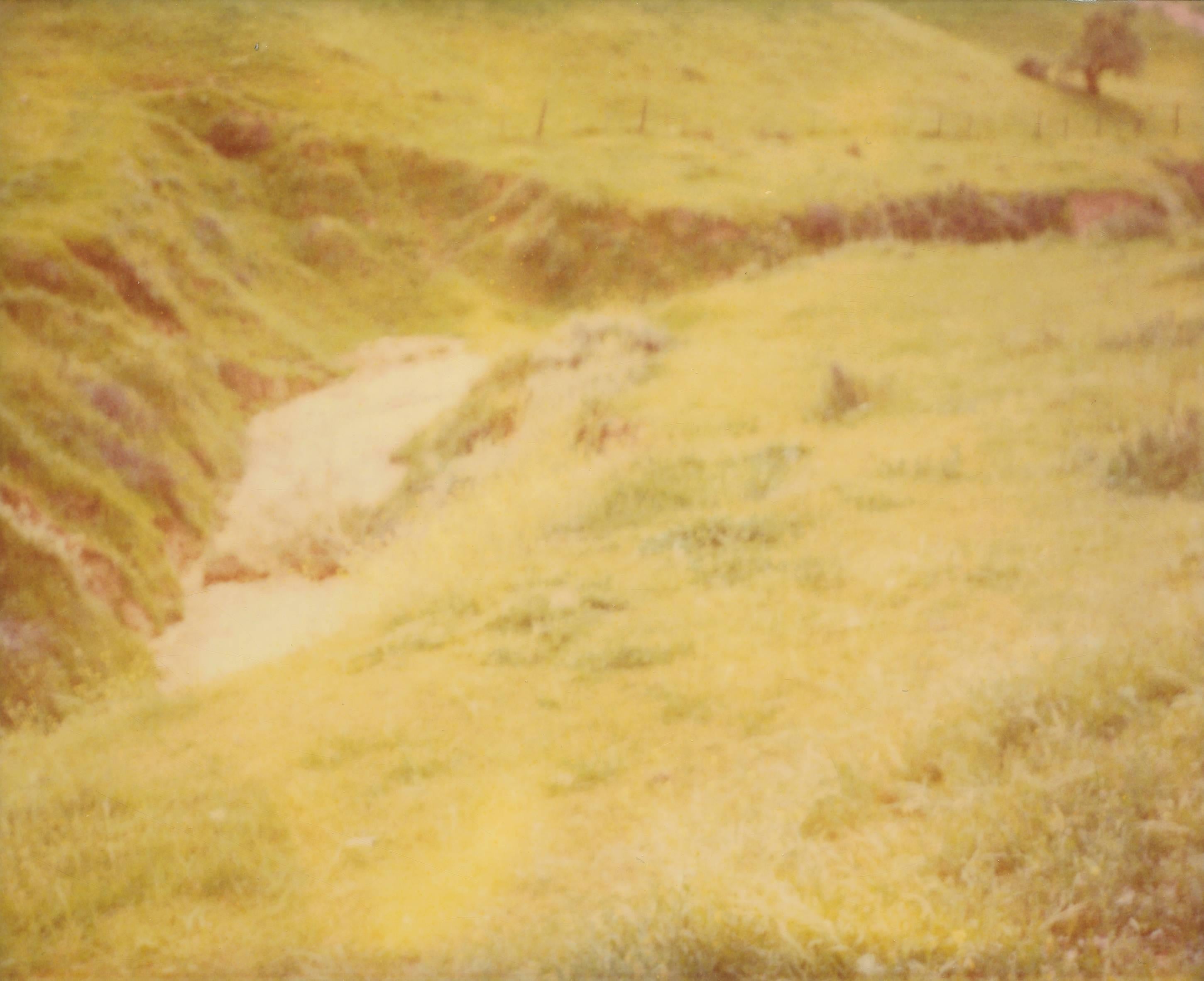 Landscape Photograph Stefanie Schneider - Le champ vert - Le rêve de Jean Baptist's n° 3 - remontoir latéral