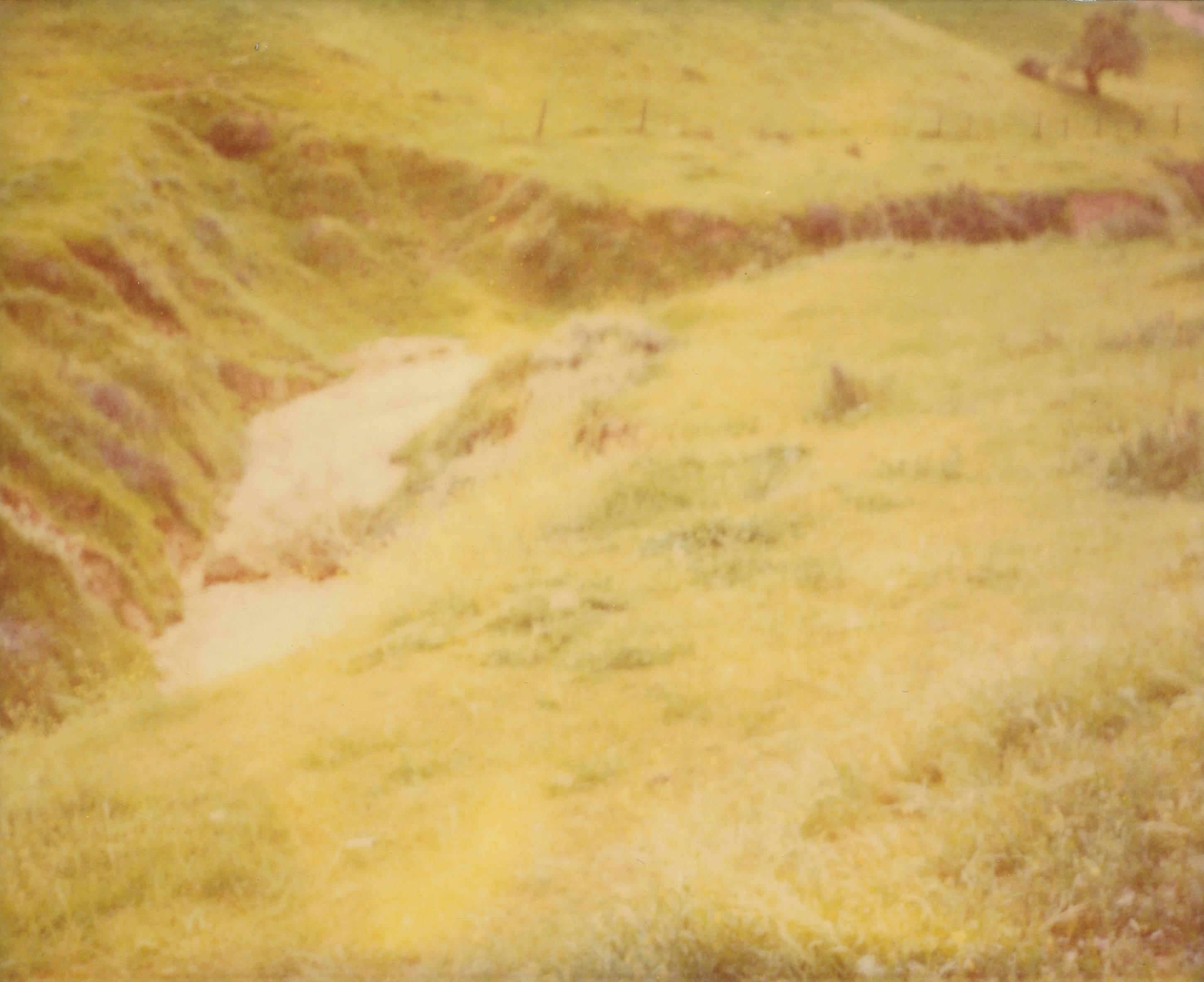 Stefanie Schneider Color Photograph - Green Field - Jean Baptist's Dream no. 3 - Sidewinder