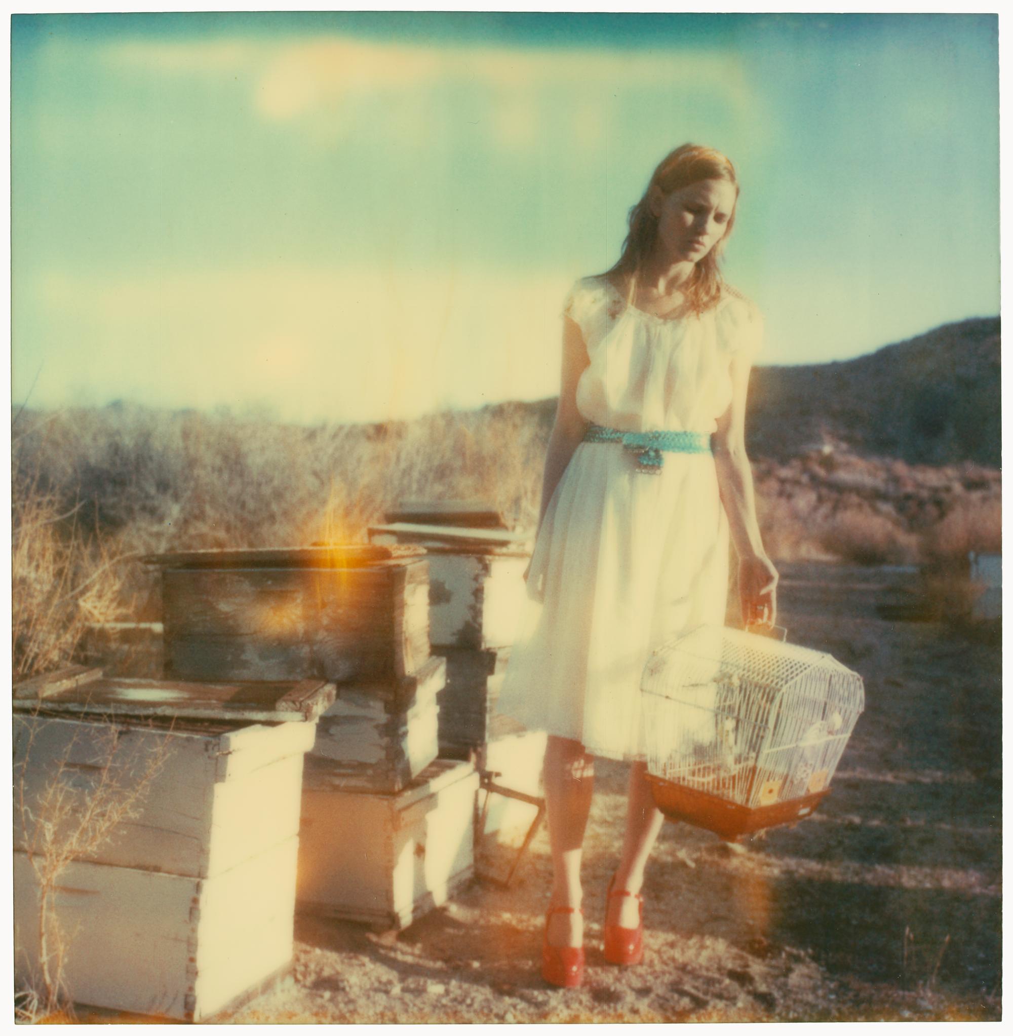 Stefanie Schneider Color Photograph - Desolate (Haley and the Birds) 