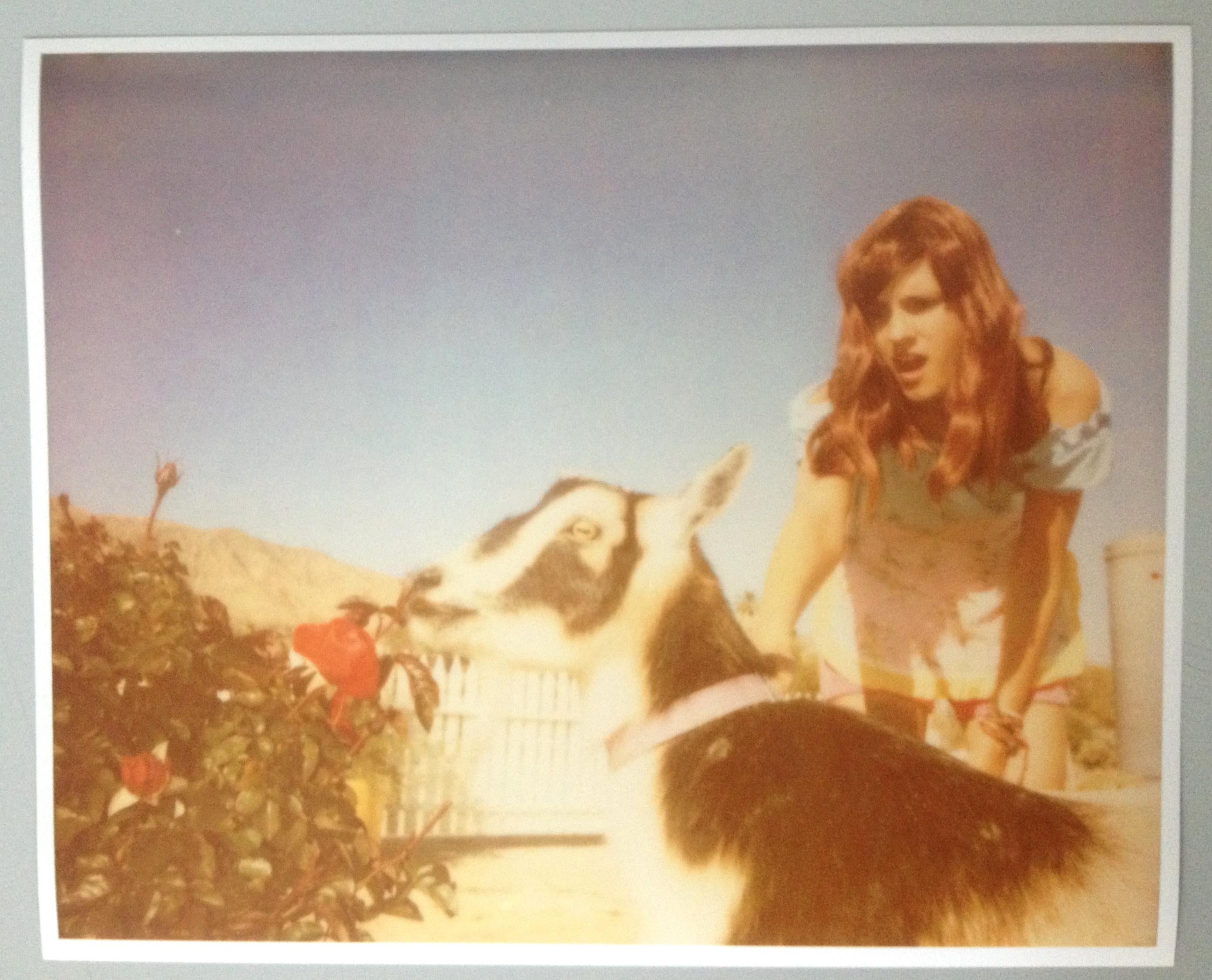Heather and Zeuss the Goat featuring Heather Megan Christie - Polaroid, Color - Contemporary Photograph by Stefanie Schneider
