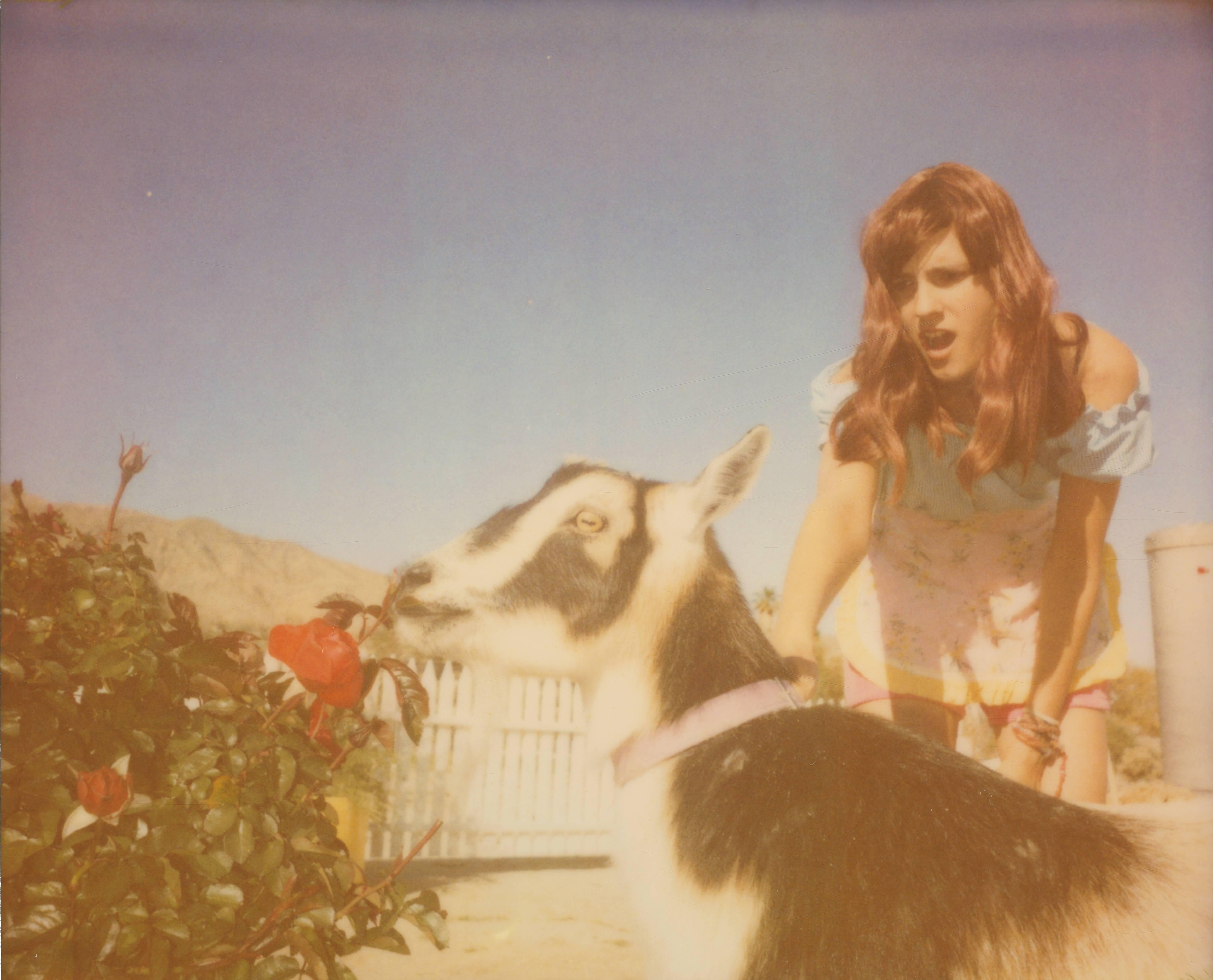 Stefanie Schneider Portrait Photograph - Heather and Zeuss the Goat featuring Heather Megan Christie - Polaroid, Color