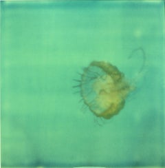 Henry Illuminated (Stay), triptych - featuring Ryan Gosling - Polaroid