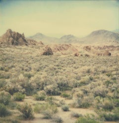 Hidden Valley (Till Death Do Us Part) - Polaroid, 21st Century, Contemporary