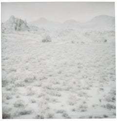 Hidden Valley (Wastelands) - Contemporary, Landscape, Polaroid, 21st Century