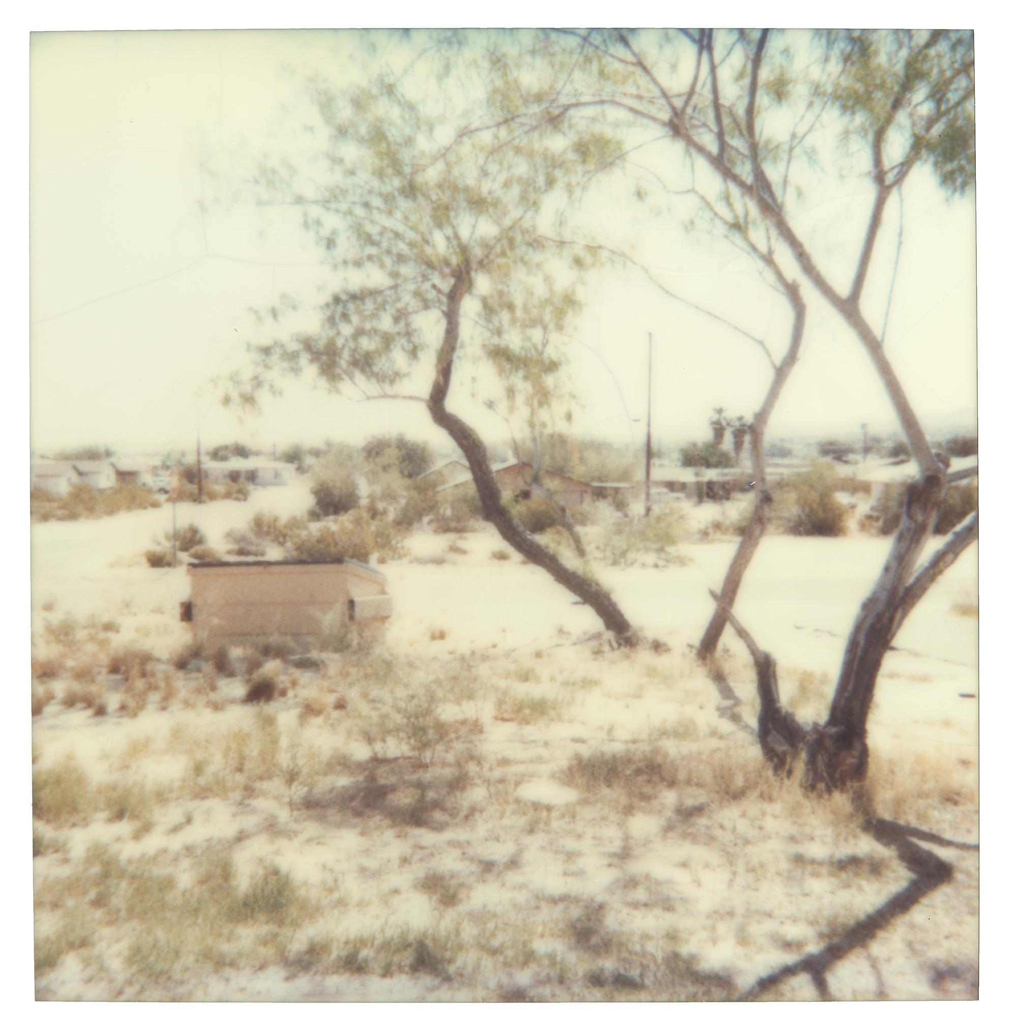 Nude Photograph Stefanie Schneider - High Desert (29 Palms, CA) - Polaroïd, Contemporain, 20e siècle