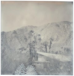 La Casa del Mañana (Californication) - Polaroid