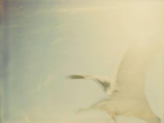 Polaroid Portrait Photography
