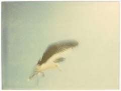 I wie Ikarus (Zuma Beach) – Triptychon – analoge Lebensraumdrucke, montiert