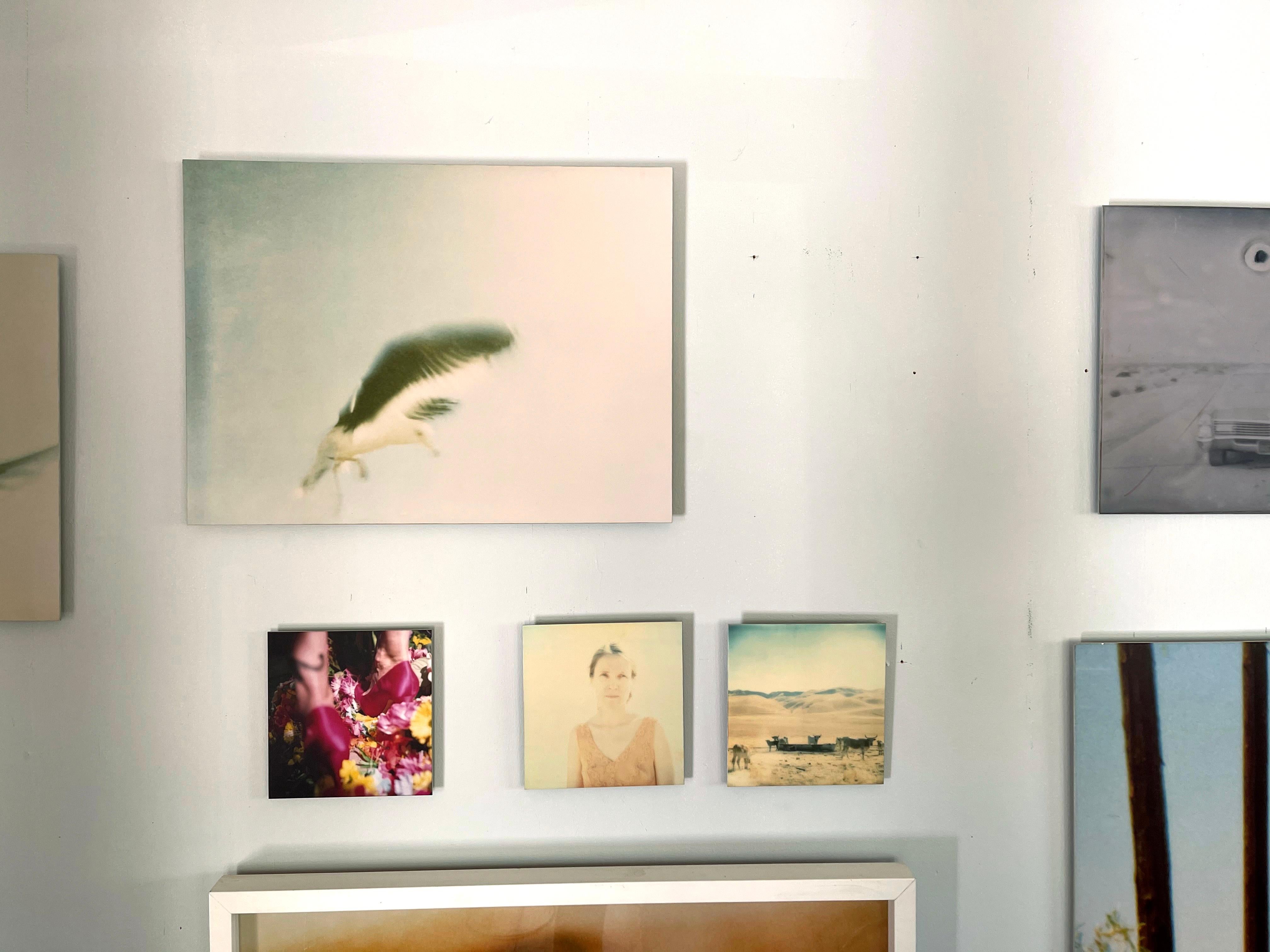 I wie Ikarus (Zuma Beach) - triptych - analog vitage prints, mounted For Sale 5