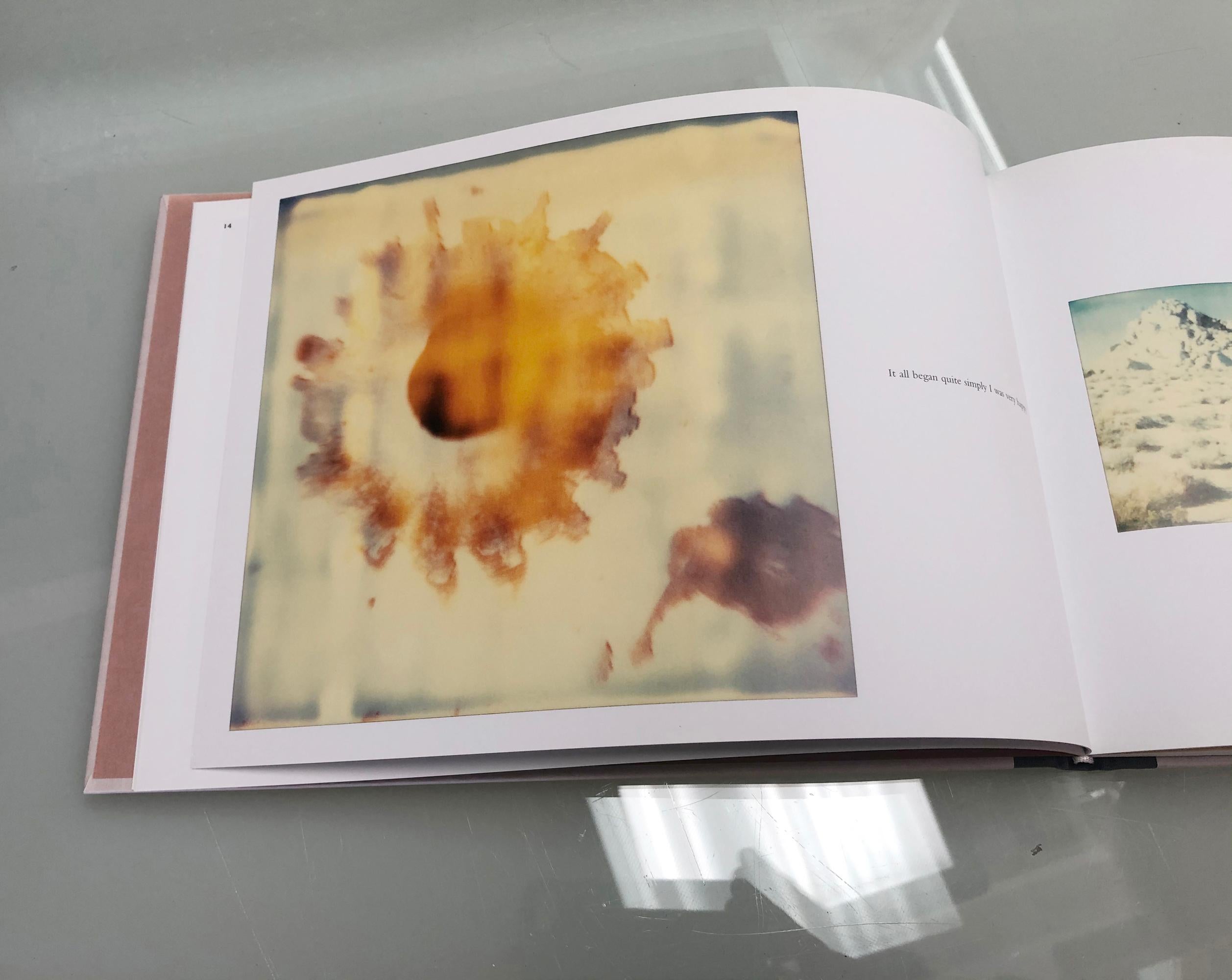 Impact (Wastelands) - 100x100cm, Polaroid, Contemporary, Abstrakt, Montiert (Zeitgenössisch), Photograph, von Stefanie Schneider
