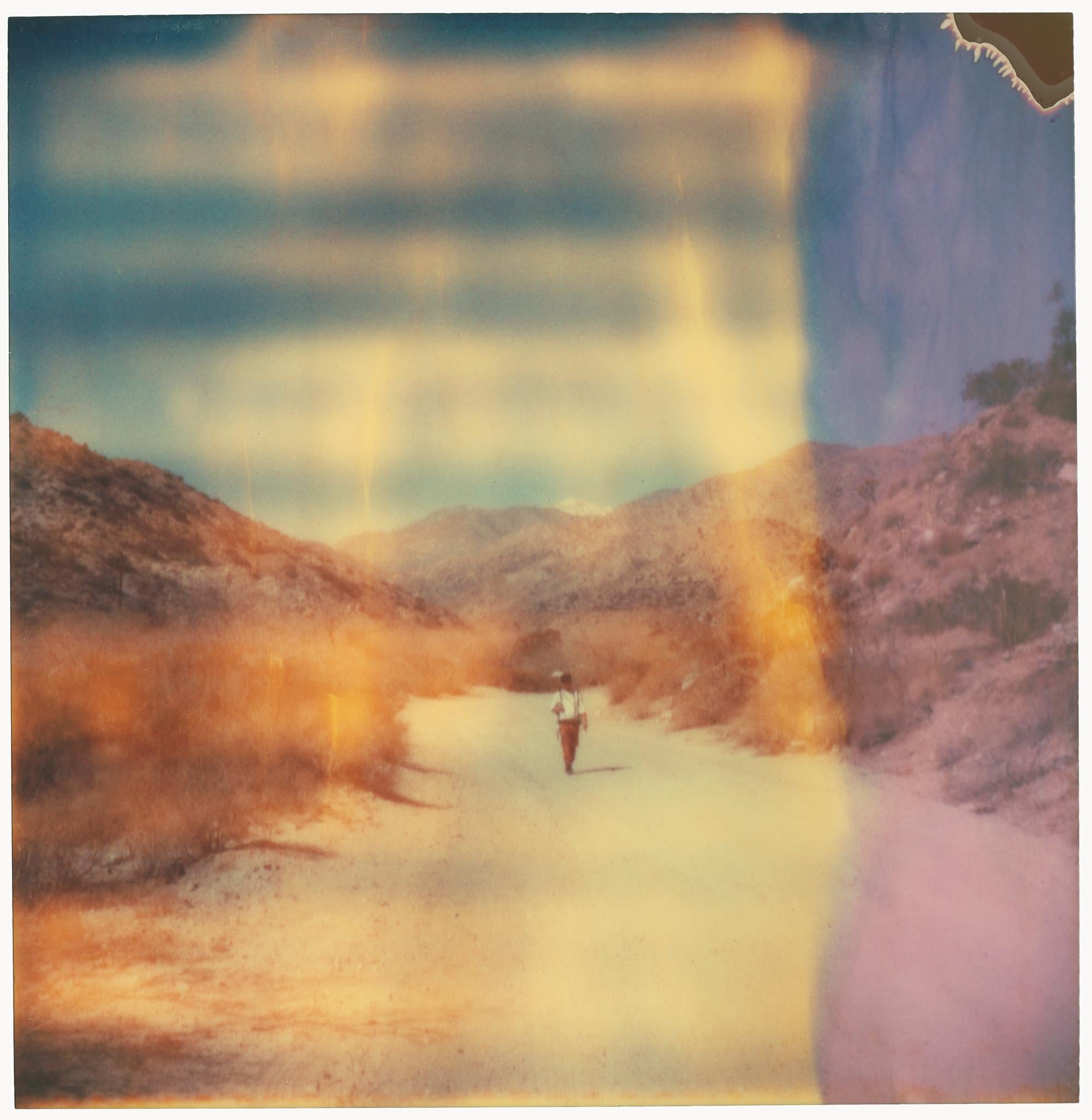 In Dubious Battle (Haley and the Birds) - triptych - Photograph by Stefanie Schneider