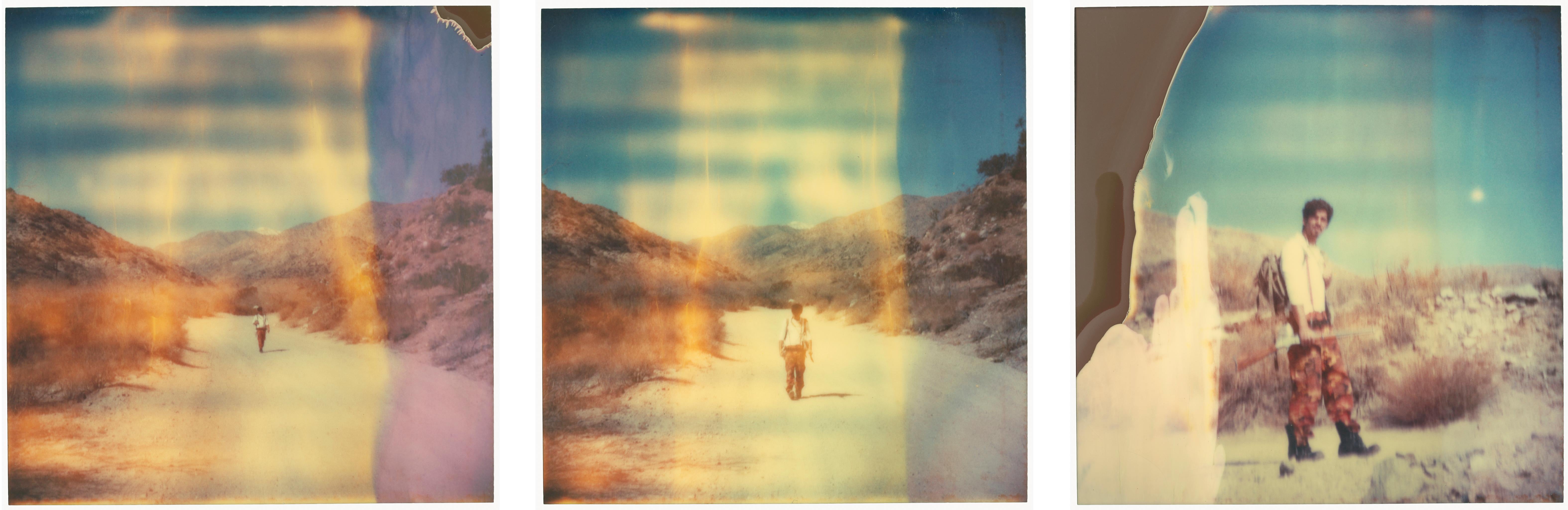 Stefanie Schneider Portrait Photograph - In Dubious Battle (Haley and the Birds) - triptych