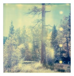 Used In the Range of Light (Wastelands) Contemporary, Landscape, Polaroid, photograph