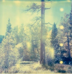 In The Range Of Light I (Wastelands) - Analog, Polaroid, 21st Century, Color