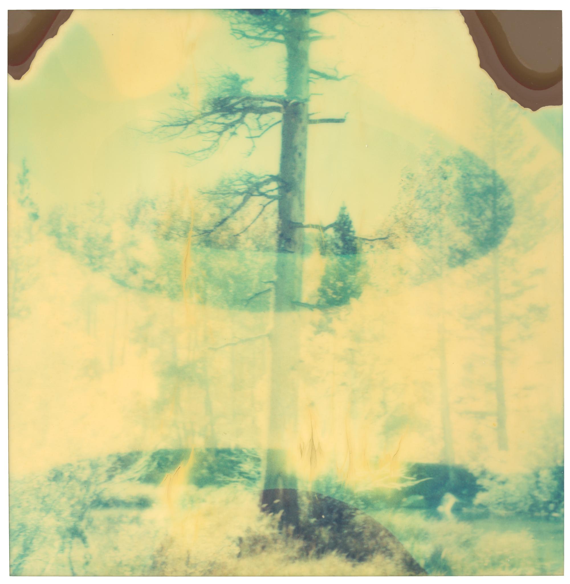 Stefanie Schneider Color Photograph - In the Range of Light II (Wastelands) - Polaroid, Expired. Contemporary, Color