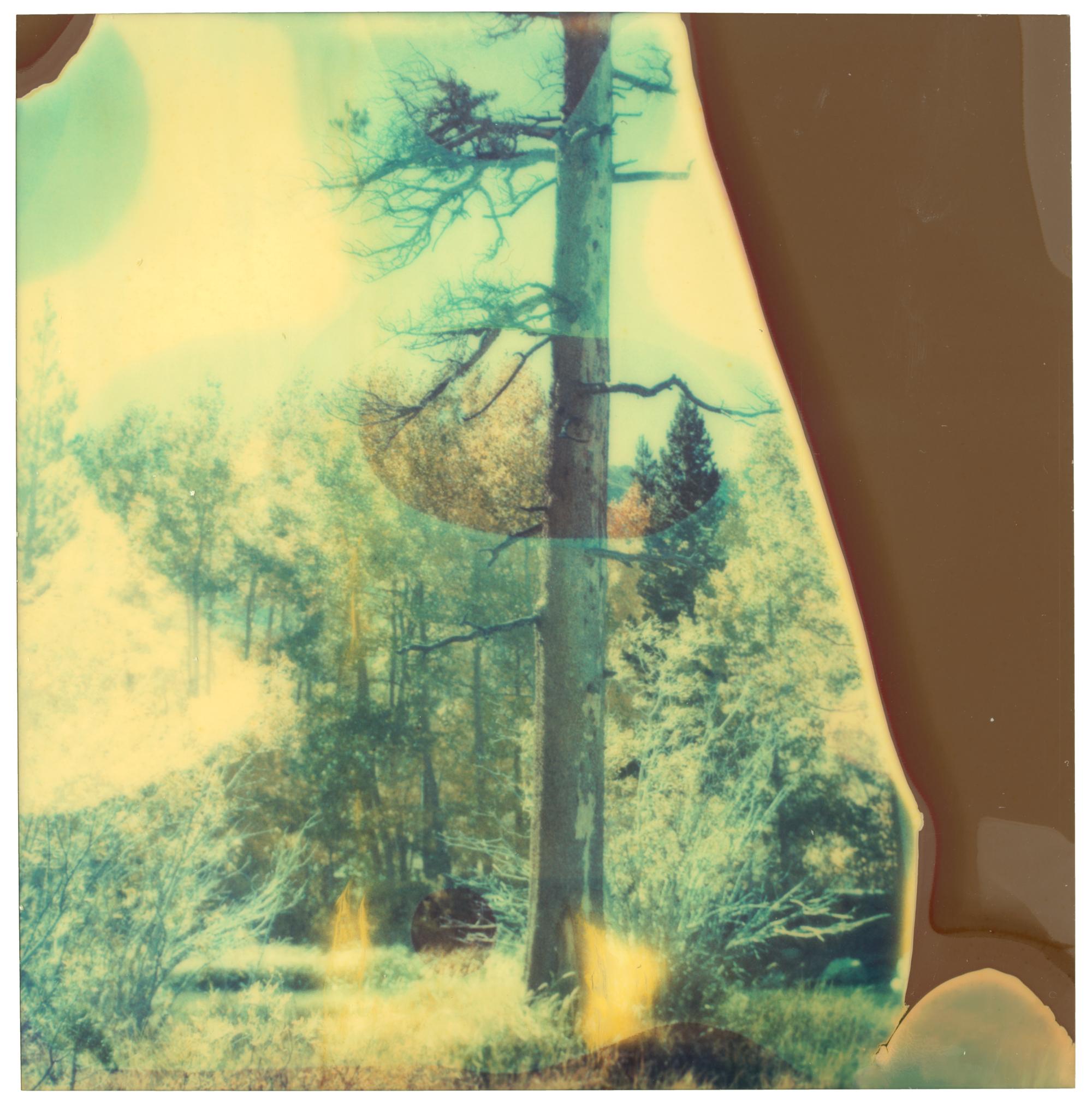 In the Range of Light III (Wastelands) - analog, Contemporary, Polaroid, Color - Photograph by Stefanie Schneider