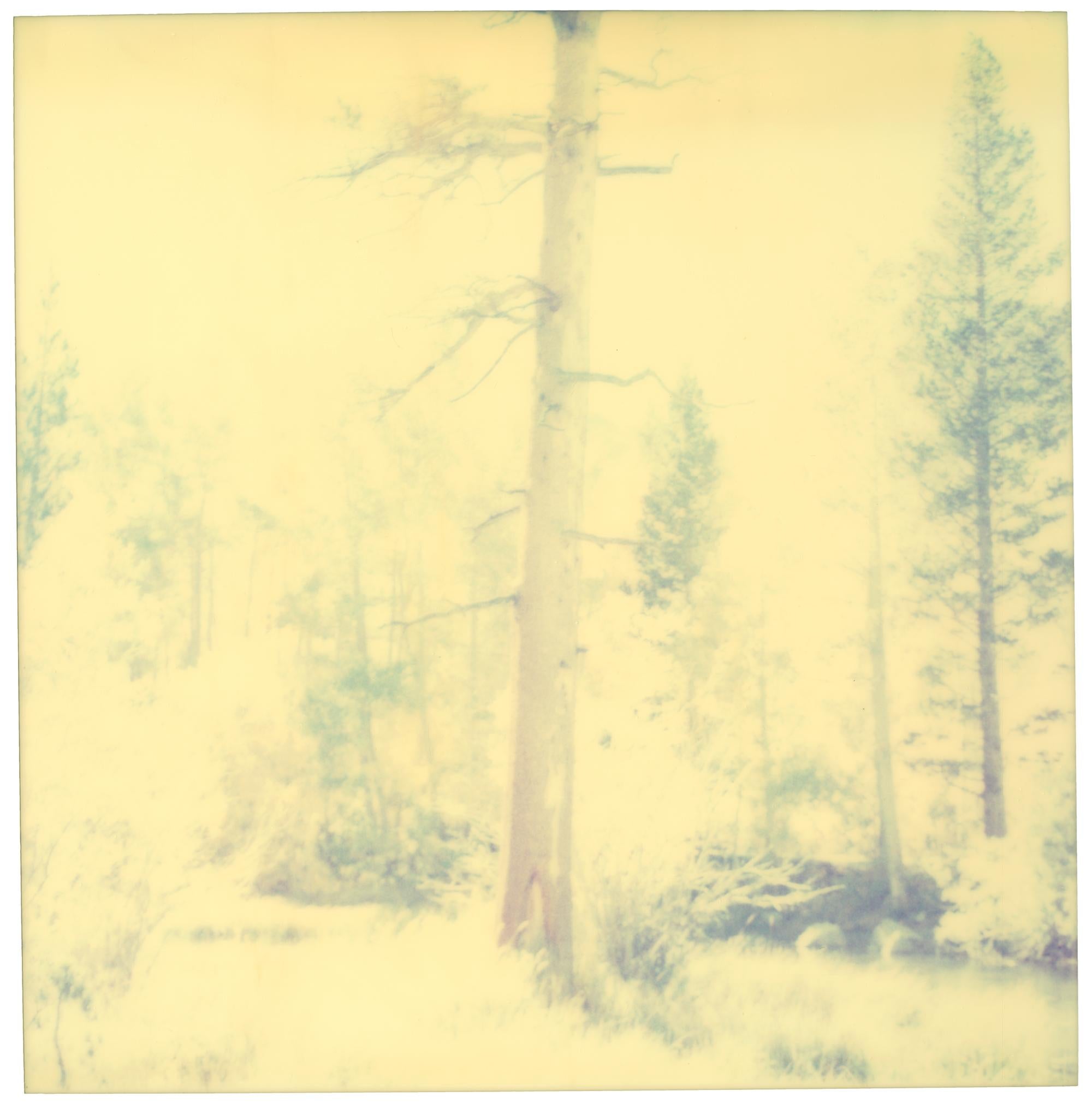 In the Range of Light III (Wastelands) - analog, Contemporary, Polaroid, Color For Sale 1