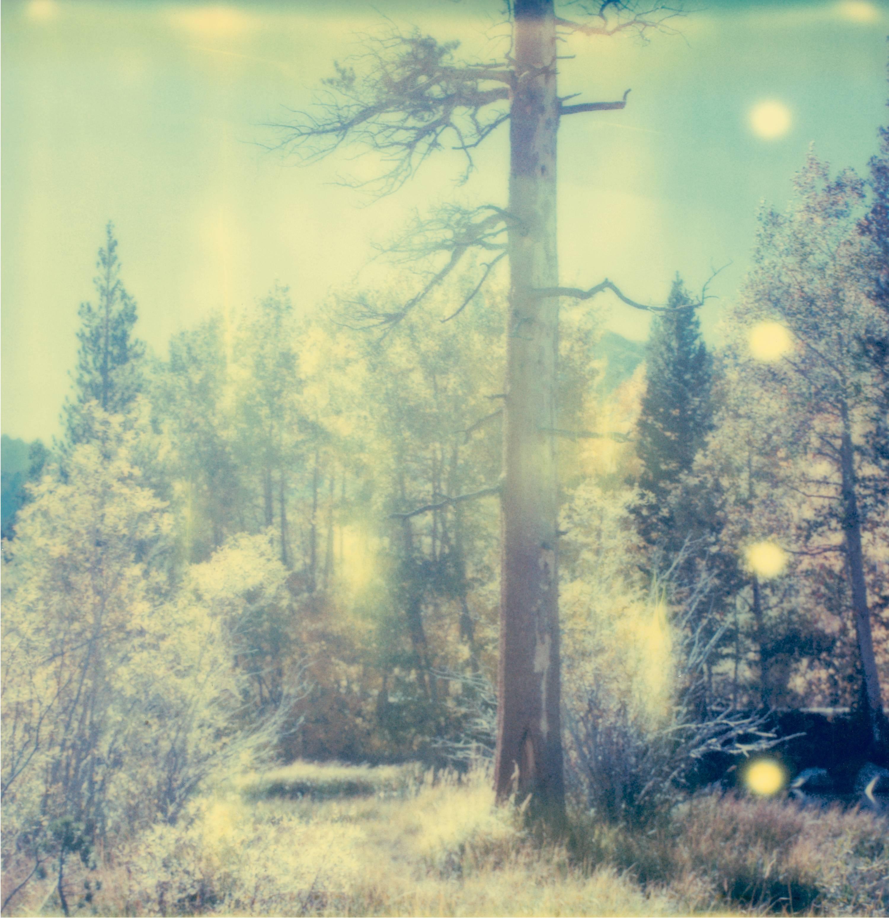 In the Range of Light III (Wastelands) - analog, Contemporary, Polaroid, Color 1