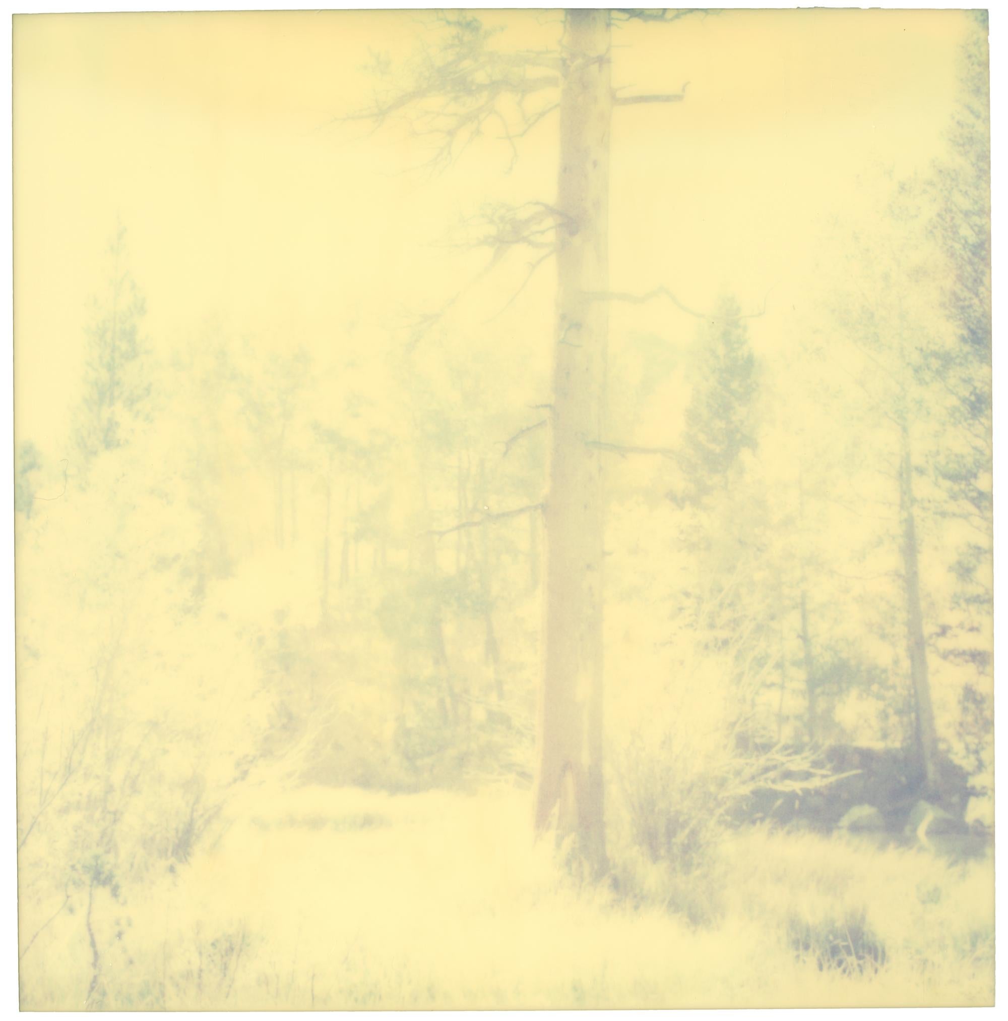 In the Range of Light III (Wastelands) - analog, Contemporary, Polaroid, Color 2