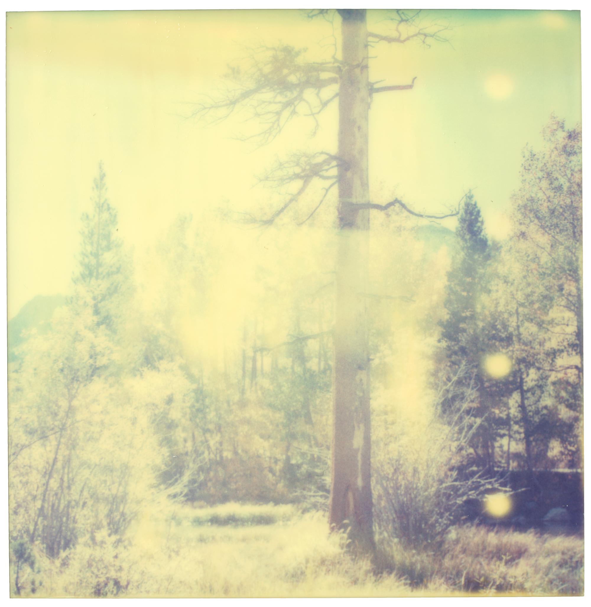 In the Range of Light III (Wastelands) - analog, Contemporary, Polaroid, Color For Sale 4