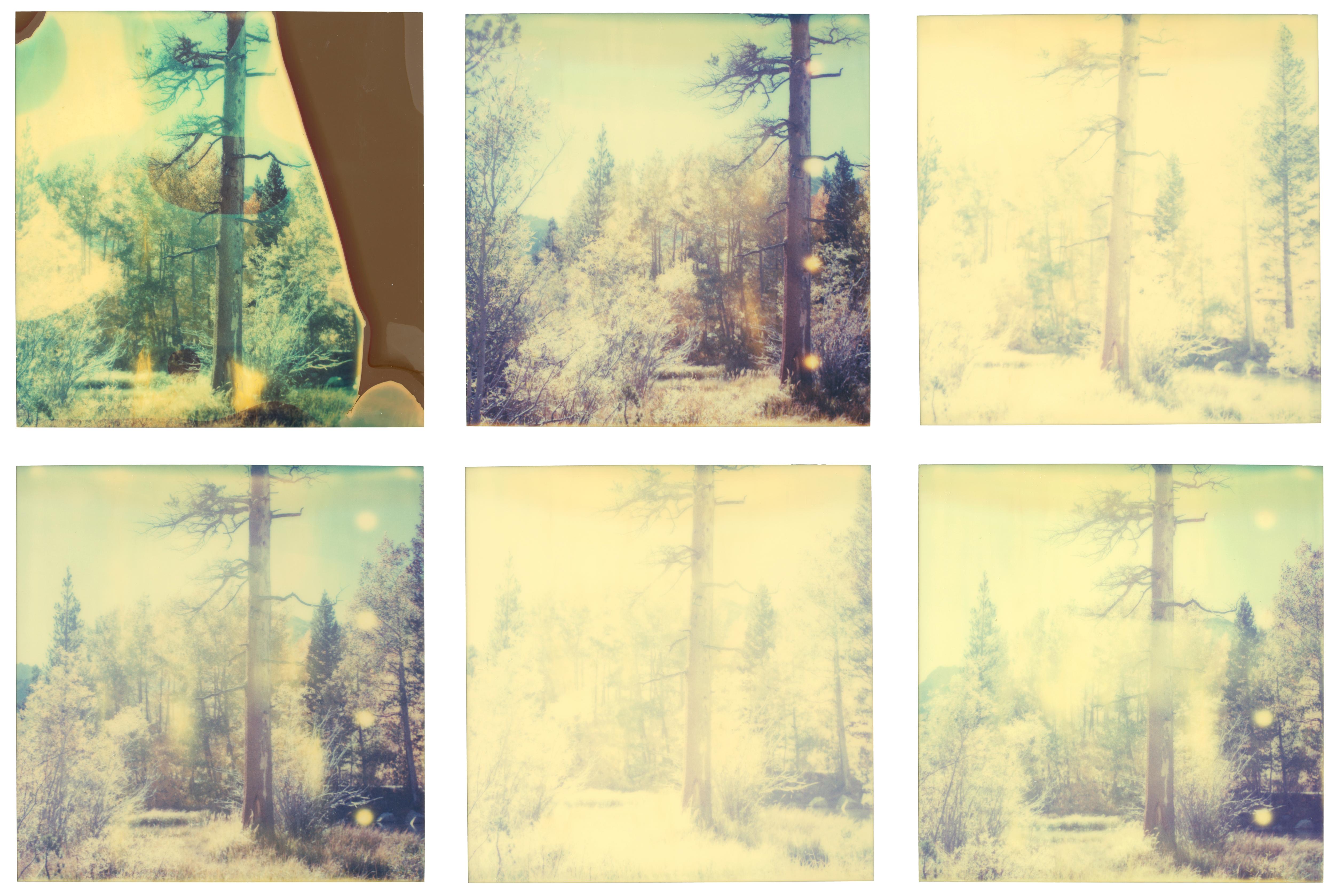 Stefanie Schneider Color Photograph - In the Range of Light III (Wastelands) - analog, Contemporary, Polaroid, Color