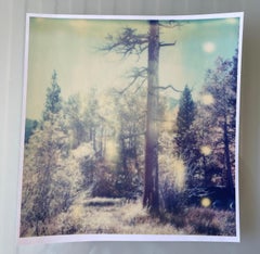 In the Range of Light (Wastelands) Zeitgenössisch, Landschaft, Polaroid, Fotografie