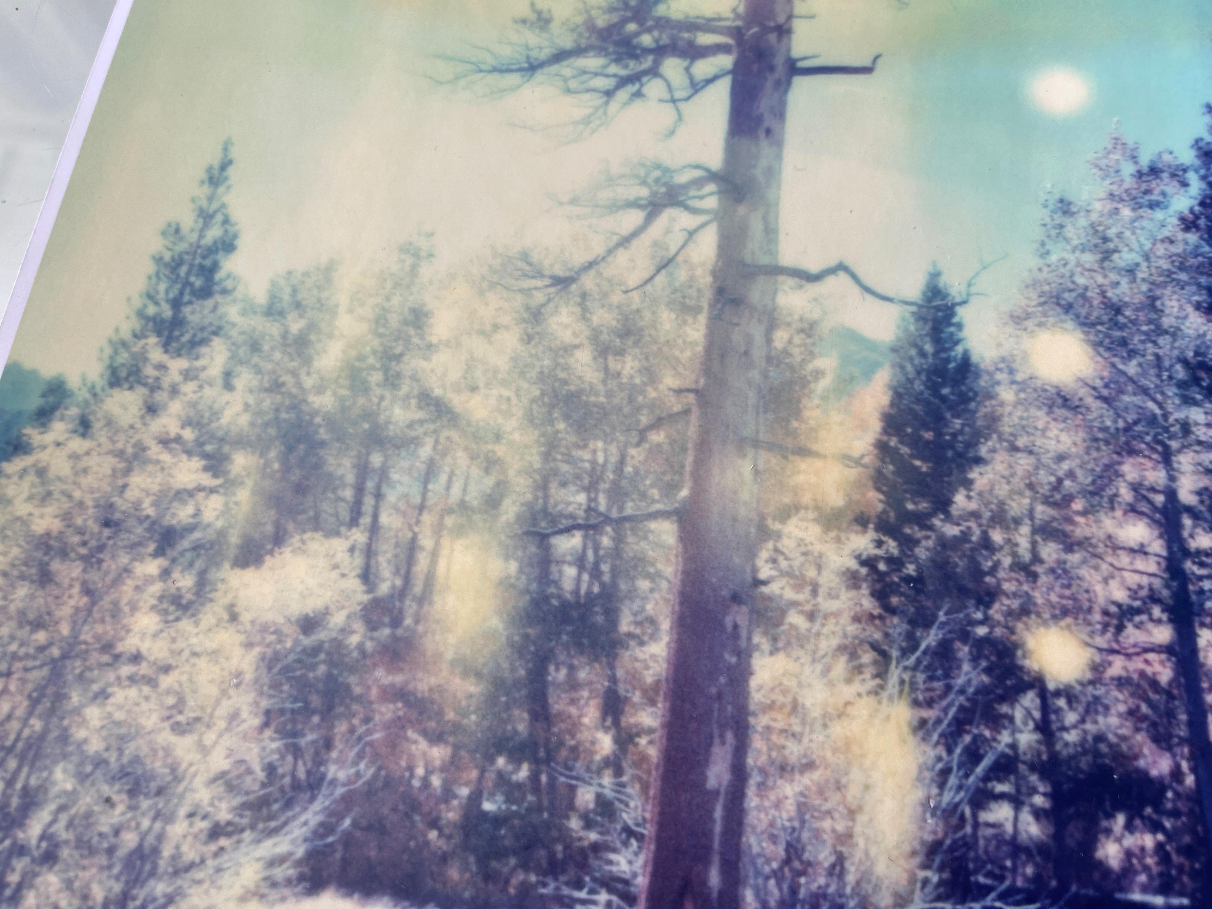 In the Range of Light (Wastelands) Contemporary, Landscape, Polaroid, photograph For Sale 1