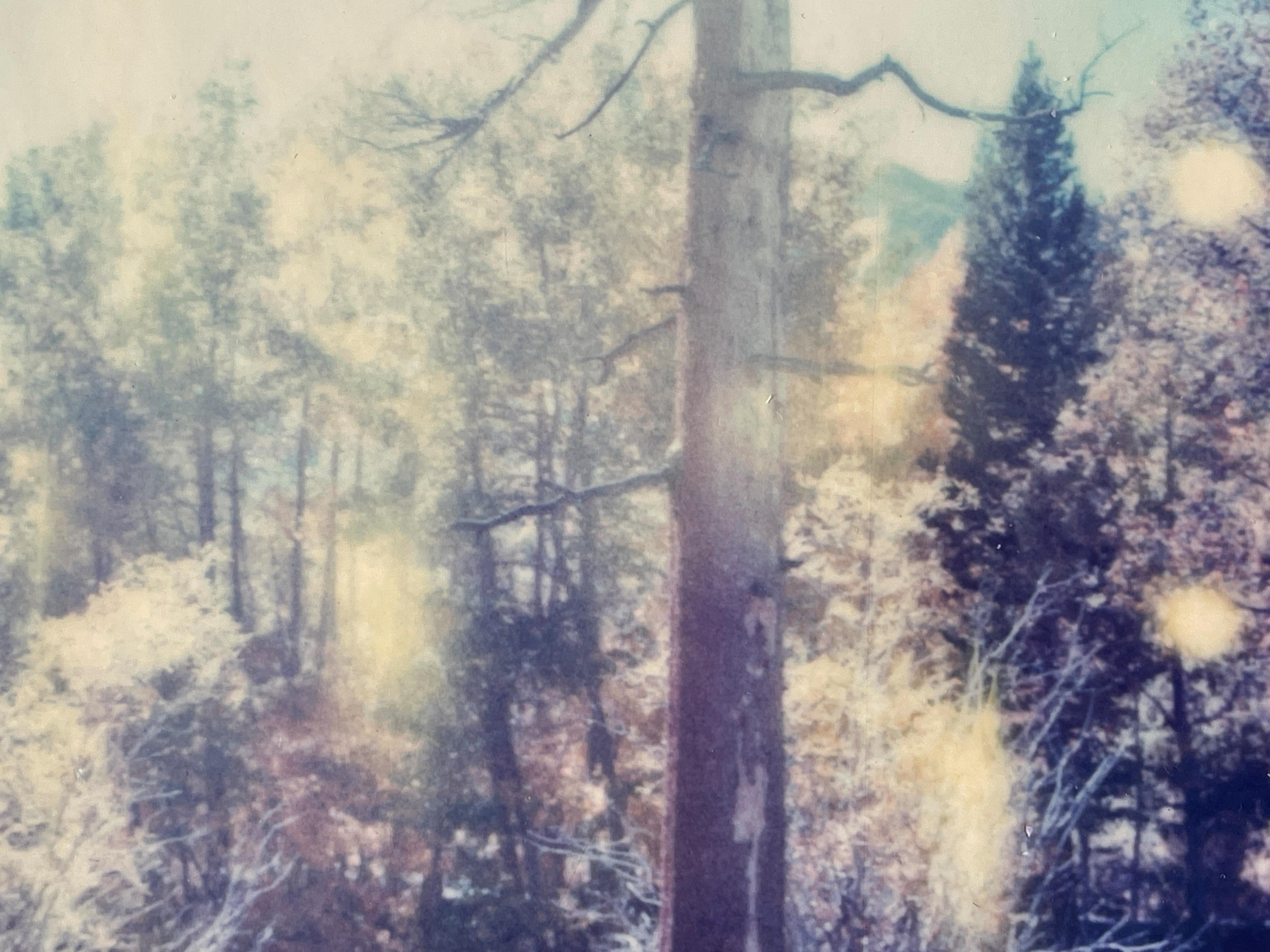 In the Range of Light (Wastelands) Contemporary, Landscape, Polaroid, photograph For Sale 2