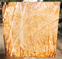 Estate indiana II  (The Last Picture Show) - analogico, 128x126cm, montato