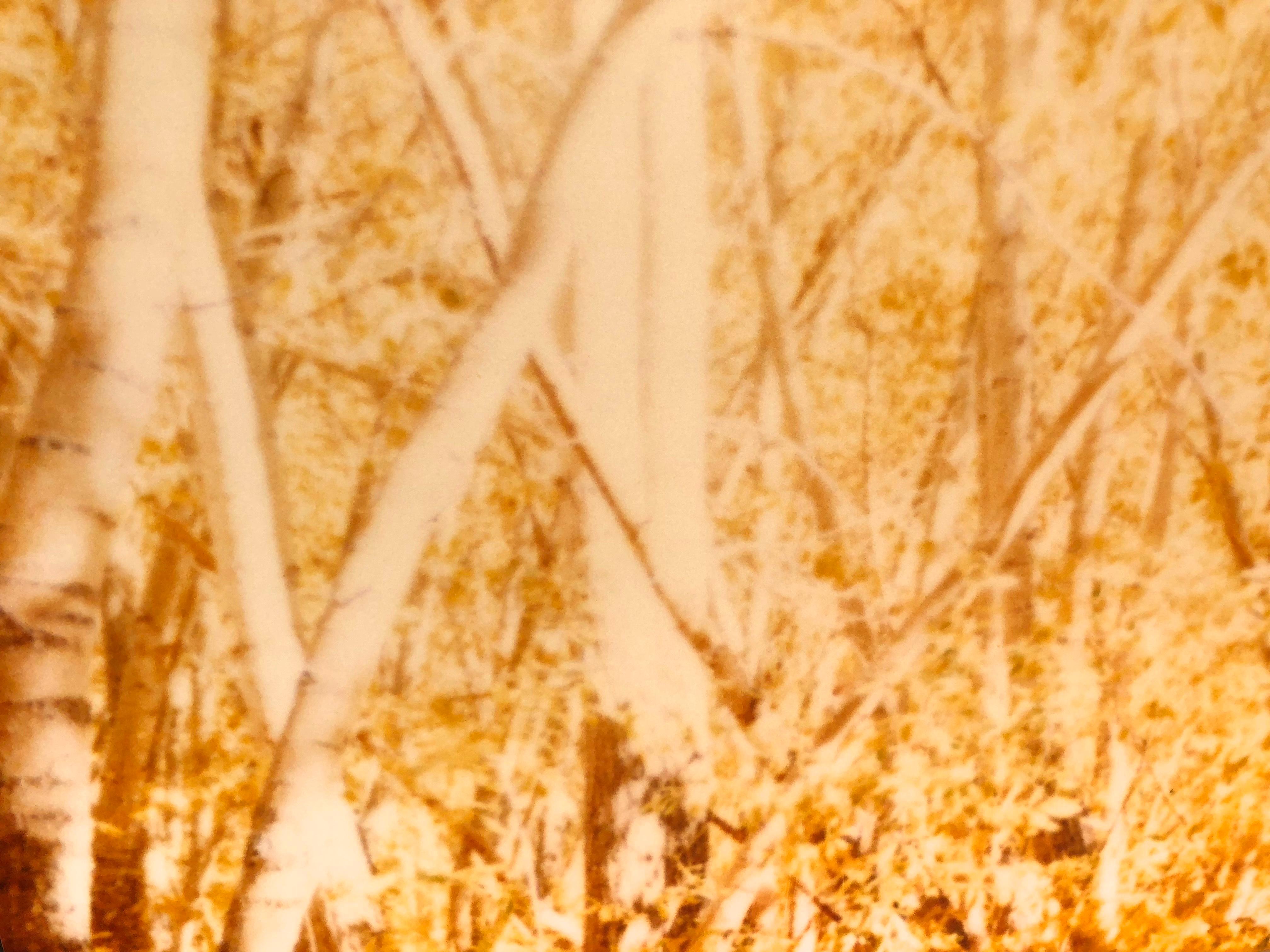 Été indien II  (La dernière photo) - analogique, 128 x 126 cm, monté - Contemporain Photograph par Stefanie Schneider