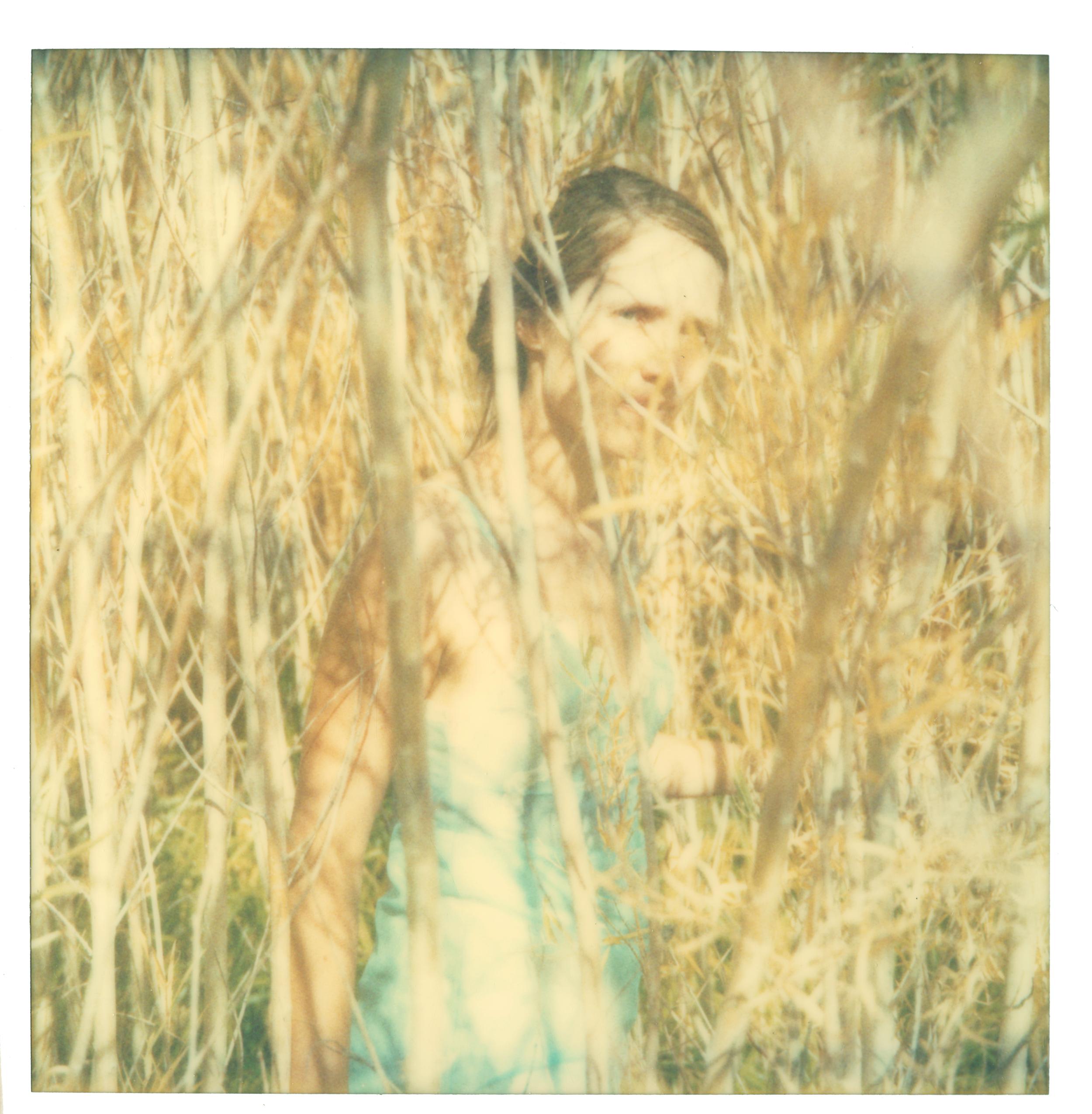 Stefanie Schneider Color Photograph - Indian Summer II  (The Last Picture Show)