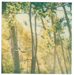 Indian Summer III (The Last Picture Show)