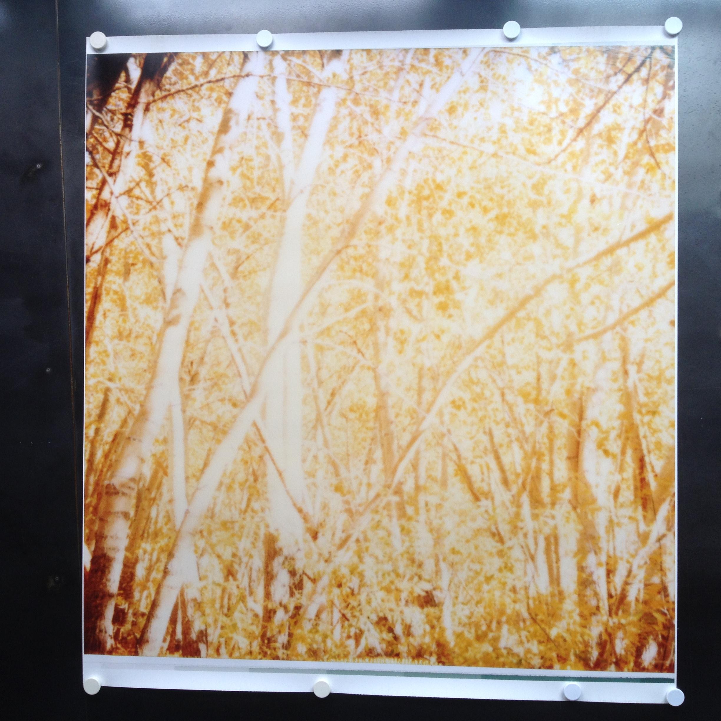 Indian Summer IV  - The Last Picture Show, analog, 128x126cm - Photograph by Stefanie Schneider