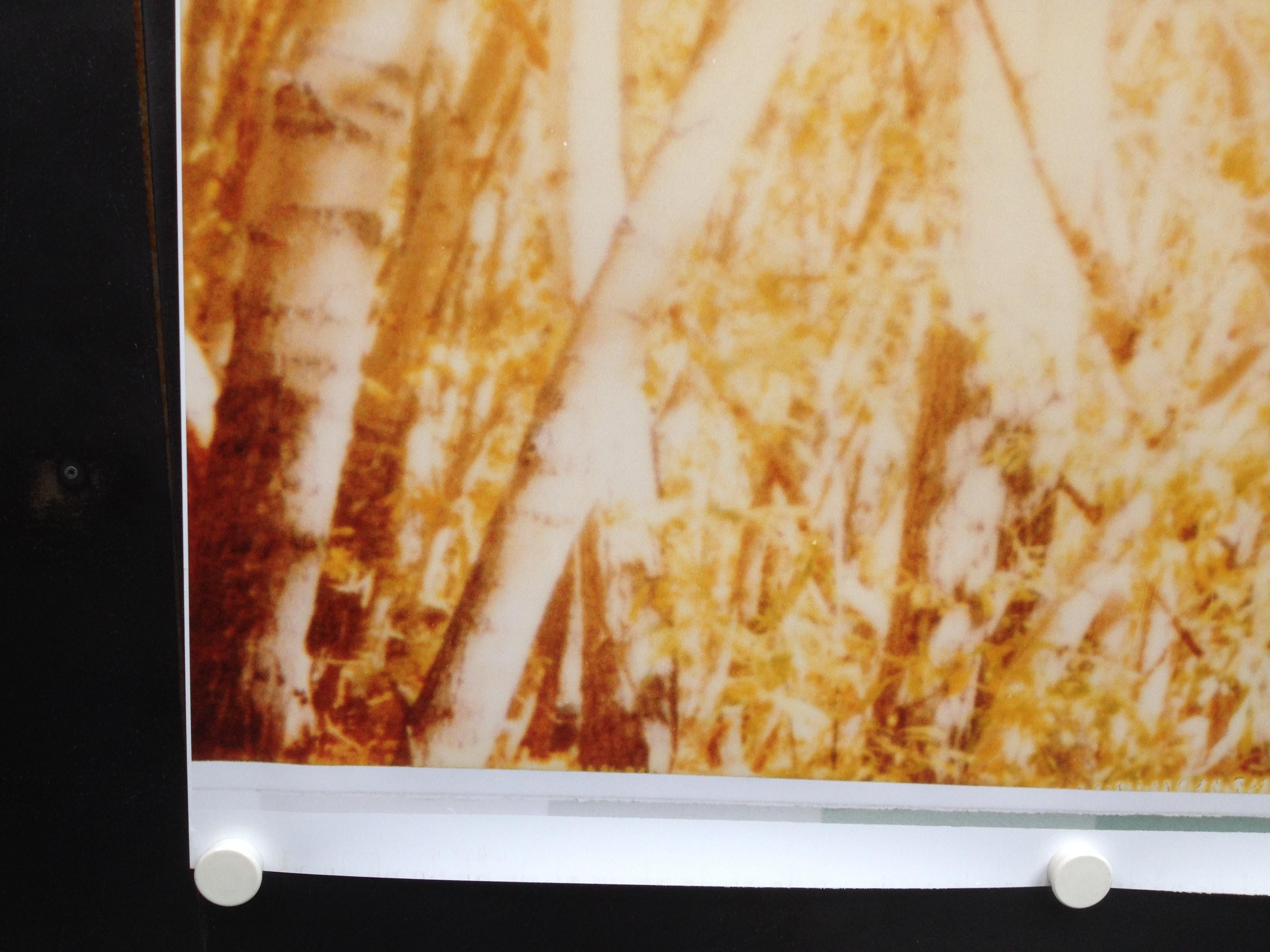 Indes d'été IV  - The Last Picture Show, analogique, 128 x126 cm - Orange Landscape Photograph par Stefanie Schneider