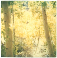 Été indien IV  (La dernière photo)