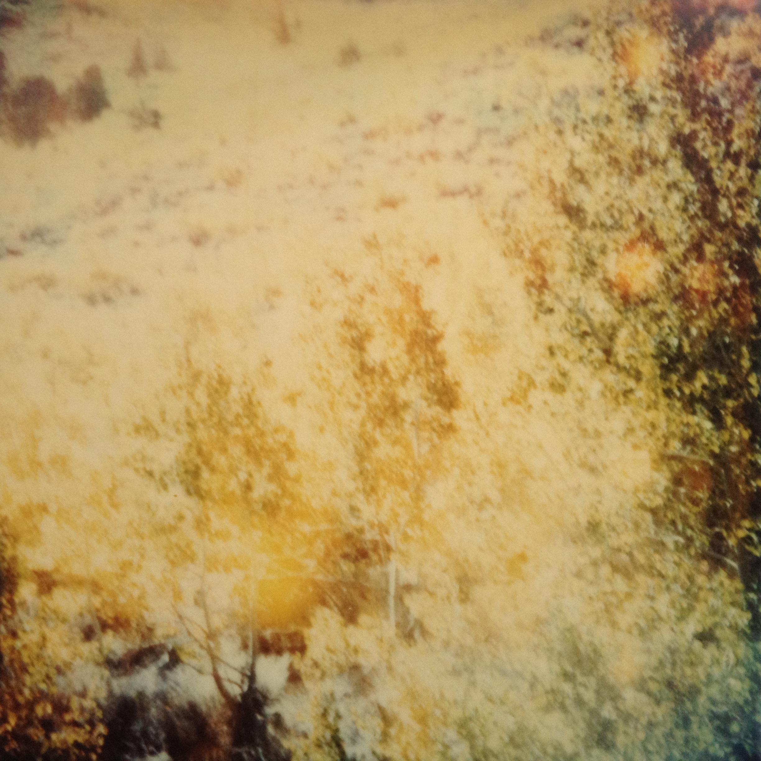 Indian Summer - The Last Picture Show, analog, 58x56cm - Contemporary Photograph by Stefanie Schneider
